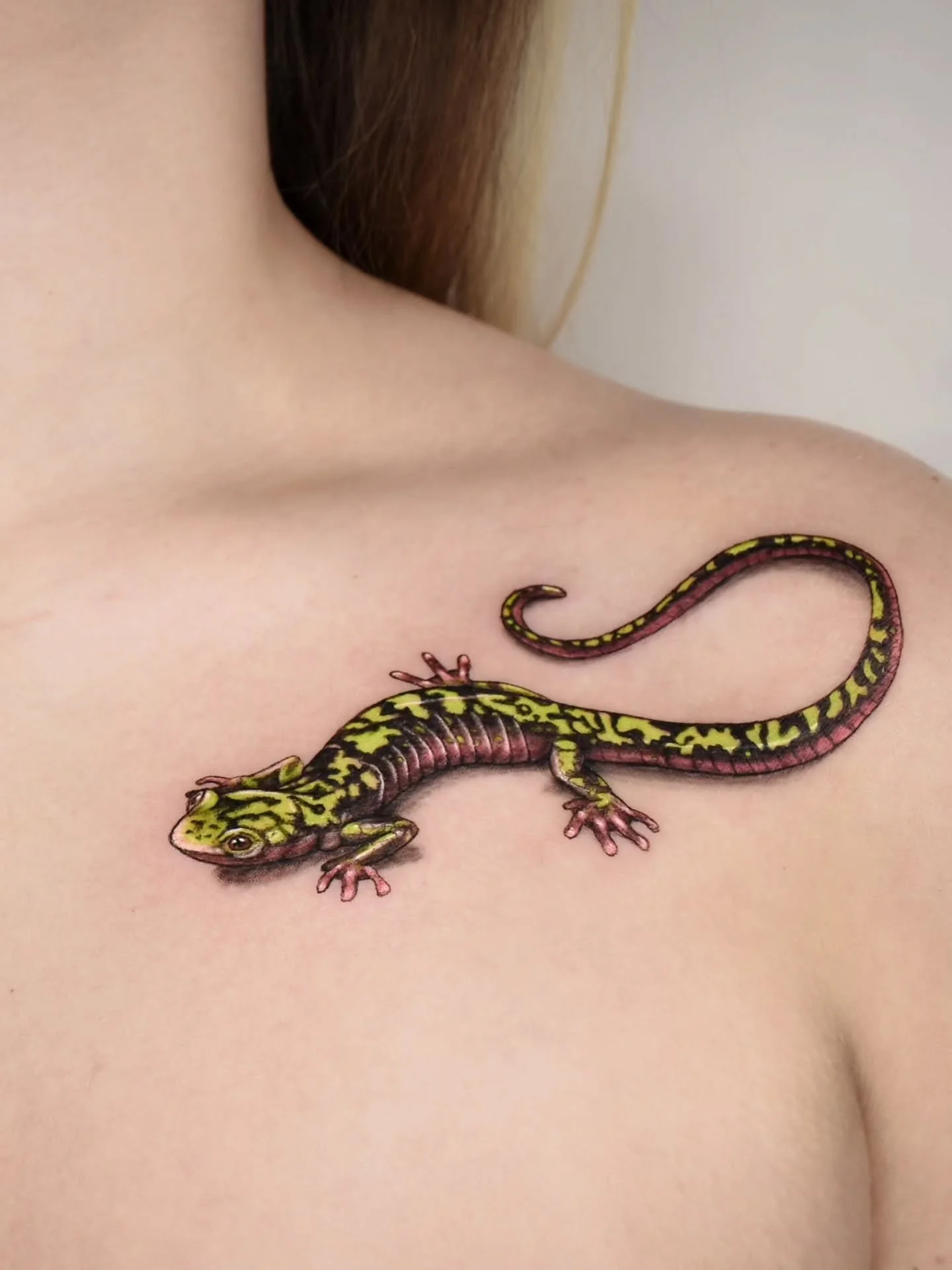 ✨ Une salamandre en appelle parfois une autre&hellip;

Il y a 7 semaines, nous avons tatou&eacute; une premi&egrave;re salamandre flamboyante dans les tons de feu, inspir&eacute;e d&rsquo;un de mes dessins pr&ecirc;ts &agrave; tatouer.
Elle s&rsquo;e