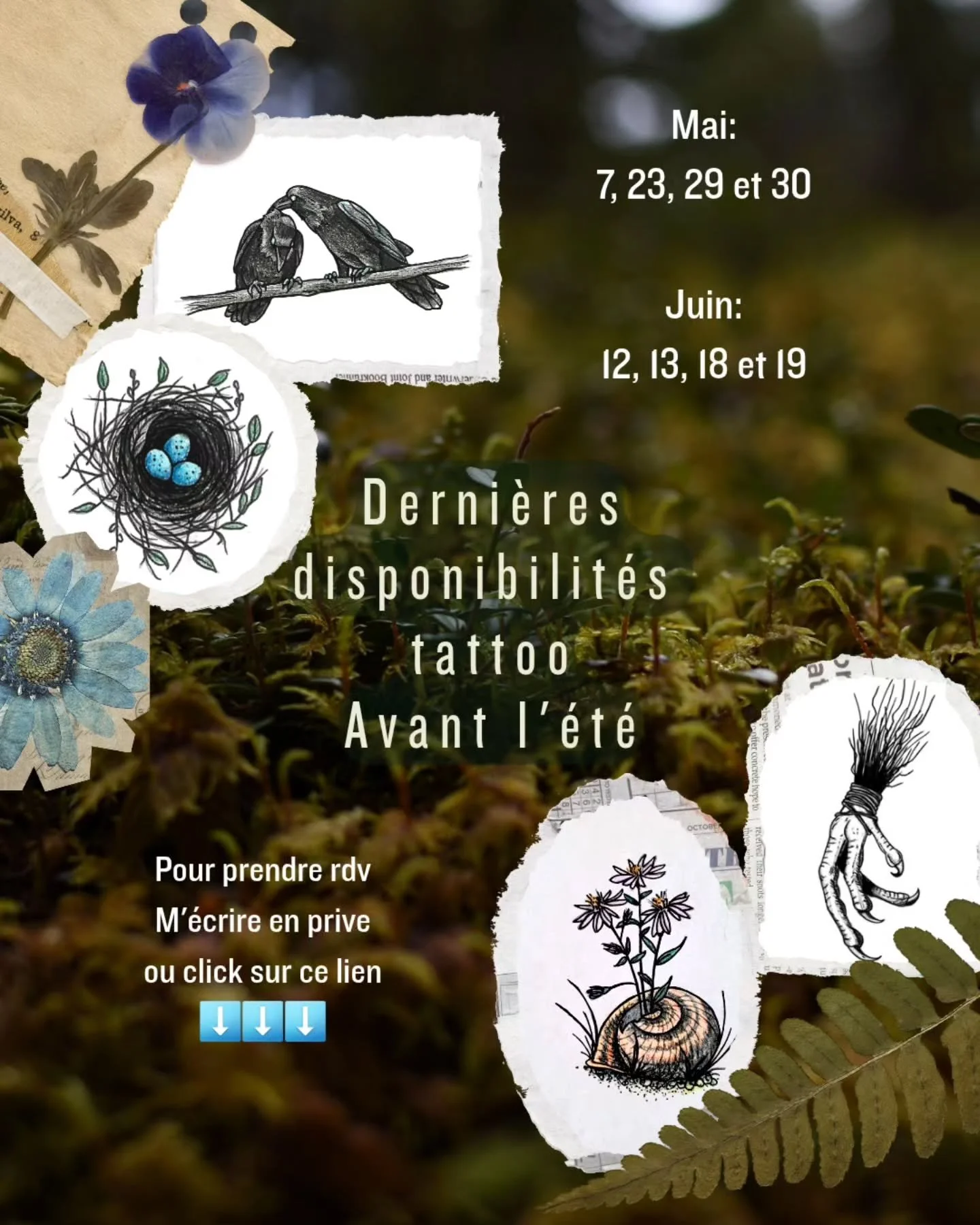 Derni&egrave;res chances avant l'&eacute;t&eacute;, le soleil, les baignades, les moustiques...
Petits rappels:

-pas de baignade dans piscines, lacs ou mers 3 semaines apr&egrave;s une sceance de tattoo.🚫🏊&zwj;♀️🏄&zwj;♀️🚣&zwj;♀️🧖&zwj;♀️

-Ne pa