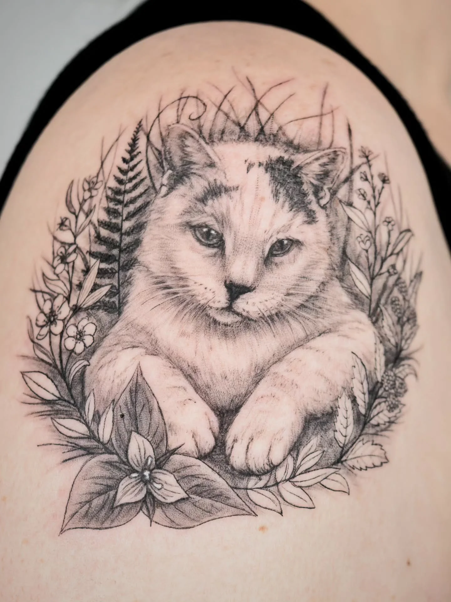 Il y a des amours qui laissent une trace pour toujours. 🖤

Ce portrait est le tout premier chat que j&rsquo;ai eu la chance de tatouer&hellip; et honn&ecirc;tement, j&rsquo;aimerais tellement en cr&eacute;er d&rsquo;autres. Parce que nos animaux ne 