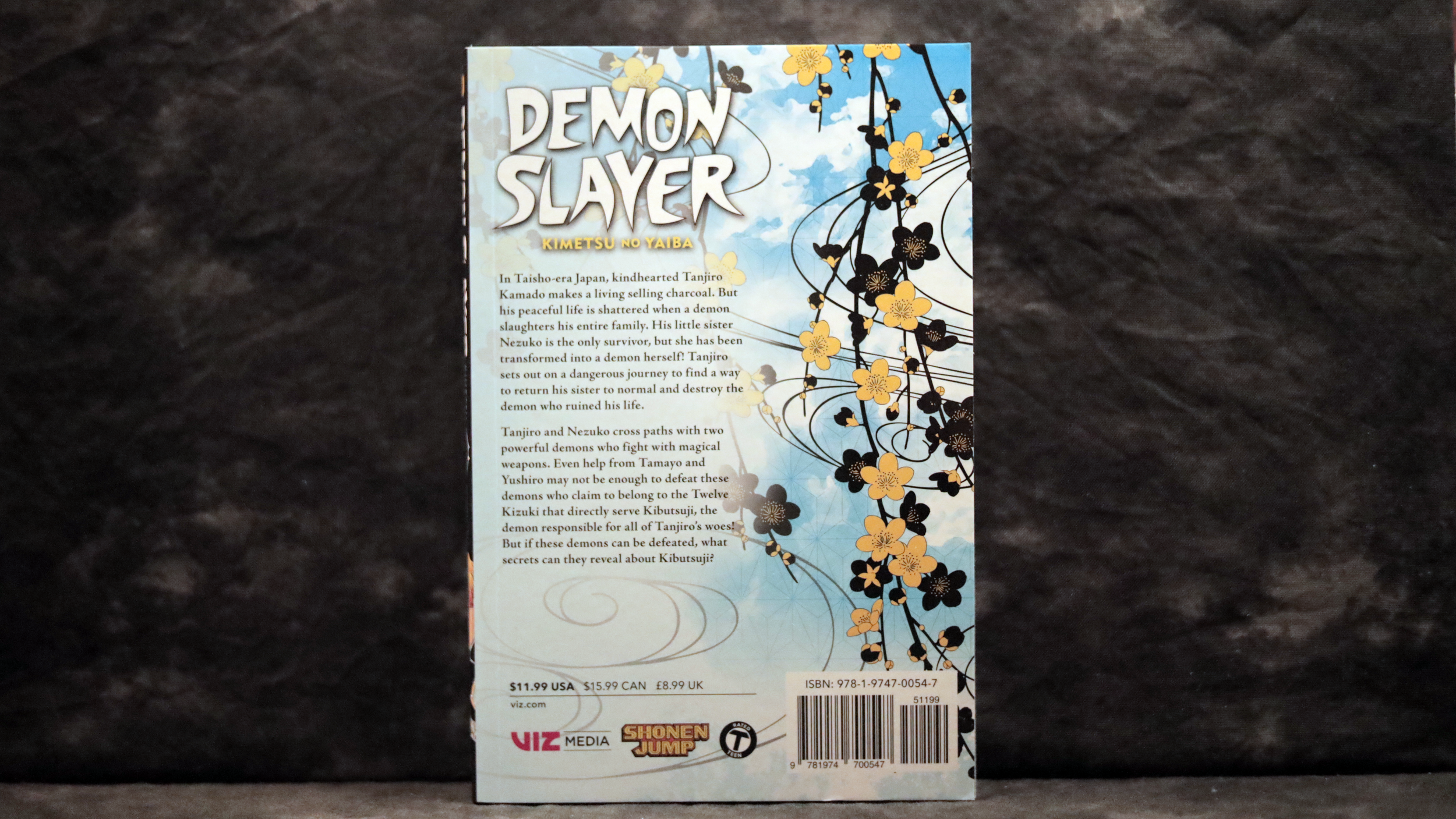 Demon Slayer Vol. 3 Back.png