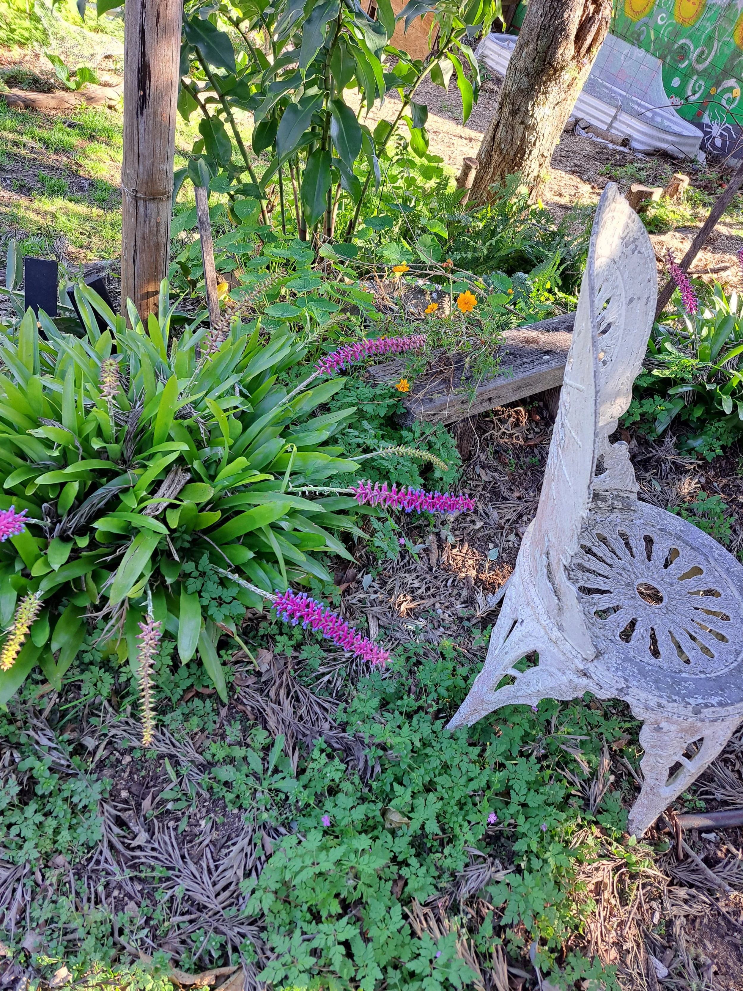 tanja windegger trauma and awakening