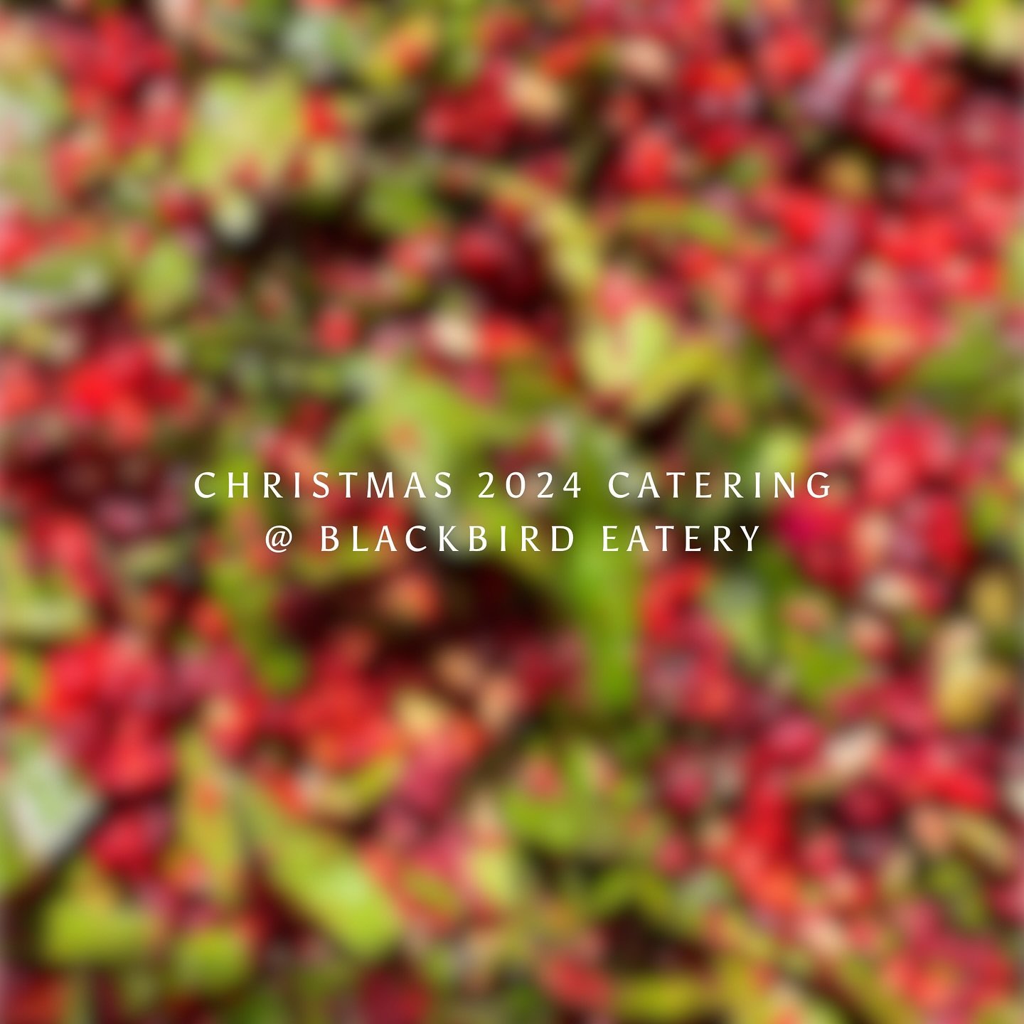Our 2024 Christmas Catering Menu for pick up Christmas Eve 🎄 

&bull;All serving quantities are just our suggestion 
&bull;Limited spaces so get in quick 
&bull;Pick up Christmas Eve 2pm-6pm
&bull;To order, please email blackbirdeatery@gmail.com

We