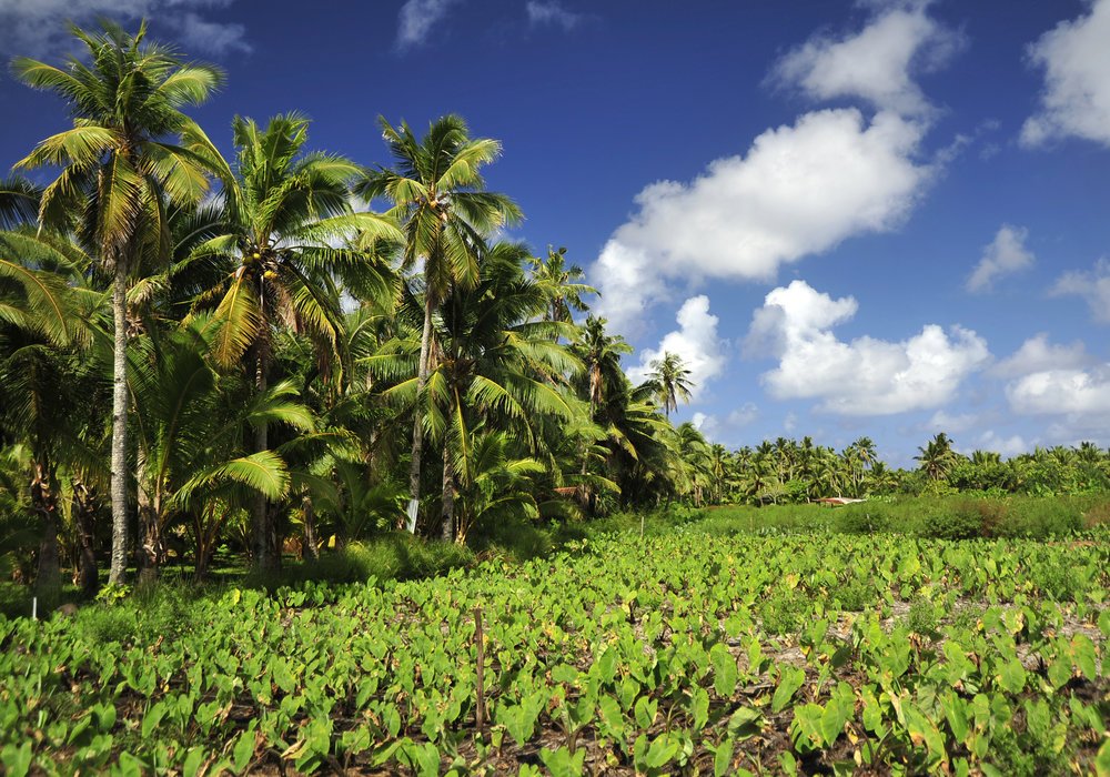 Our Islands — Visit American Samoa