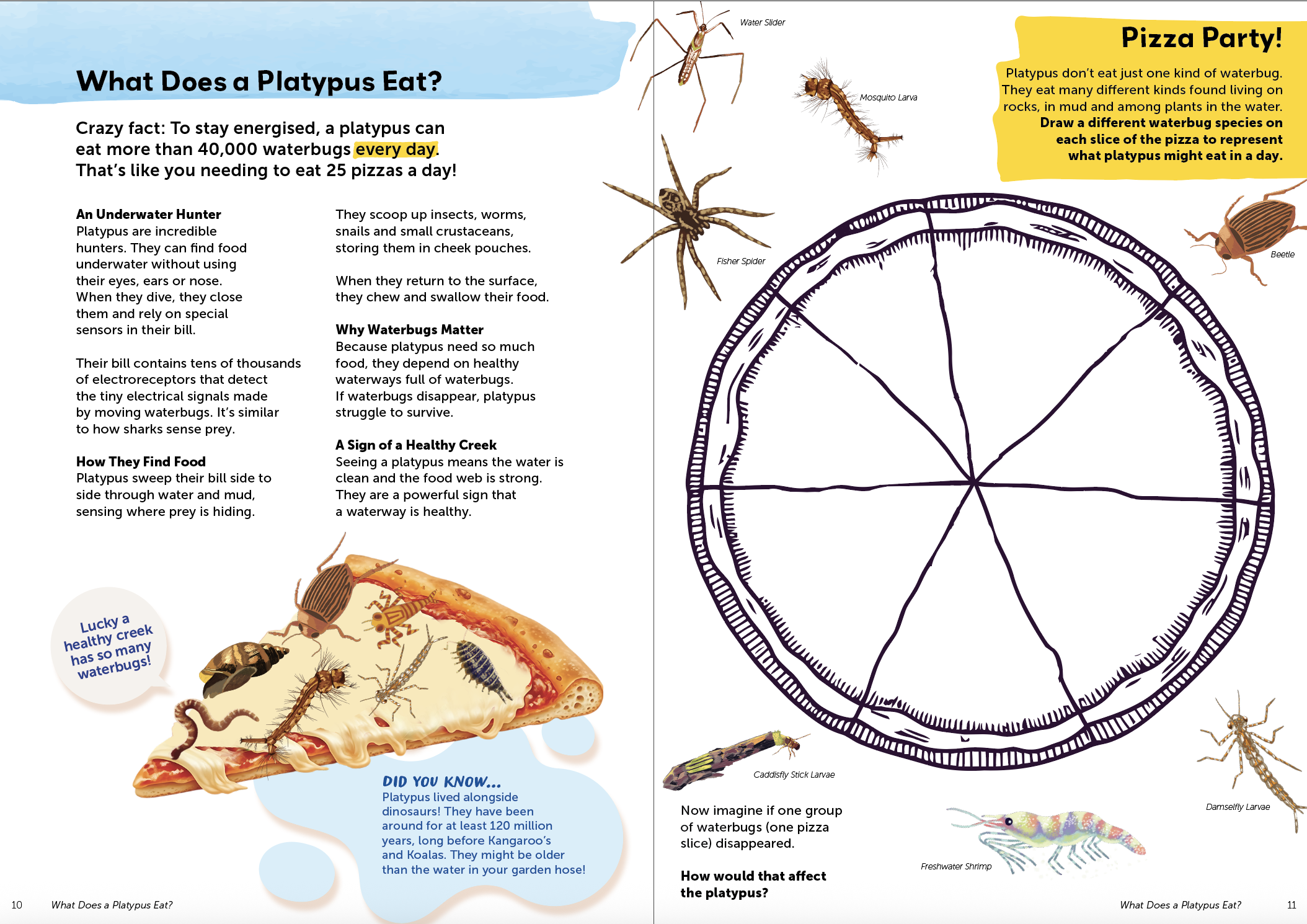 Activity Book spread screenshots6.png