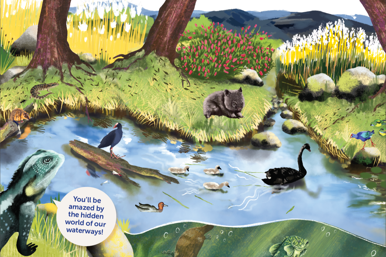 Activity book design inspiring youth waterway stewardship