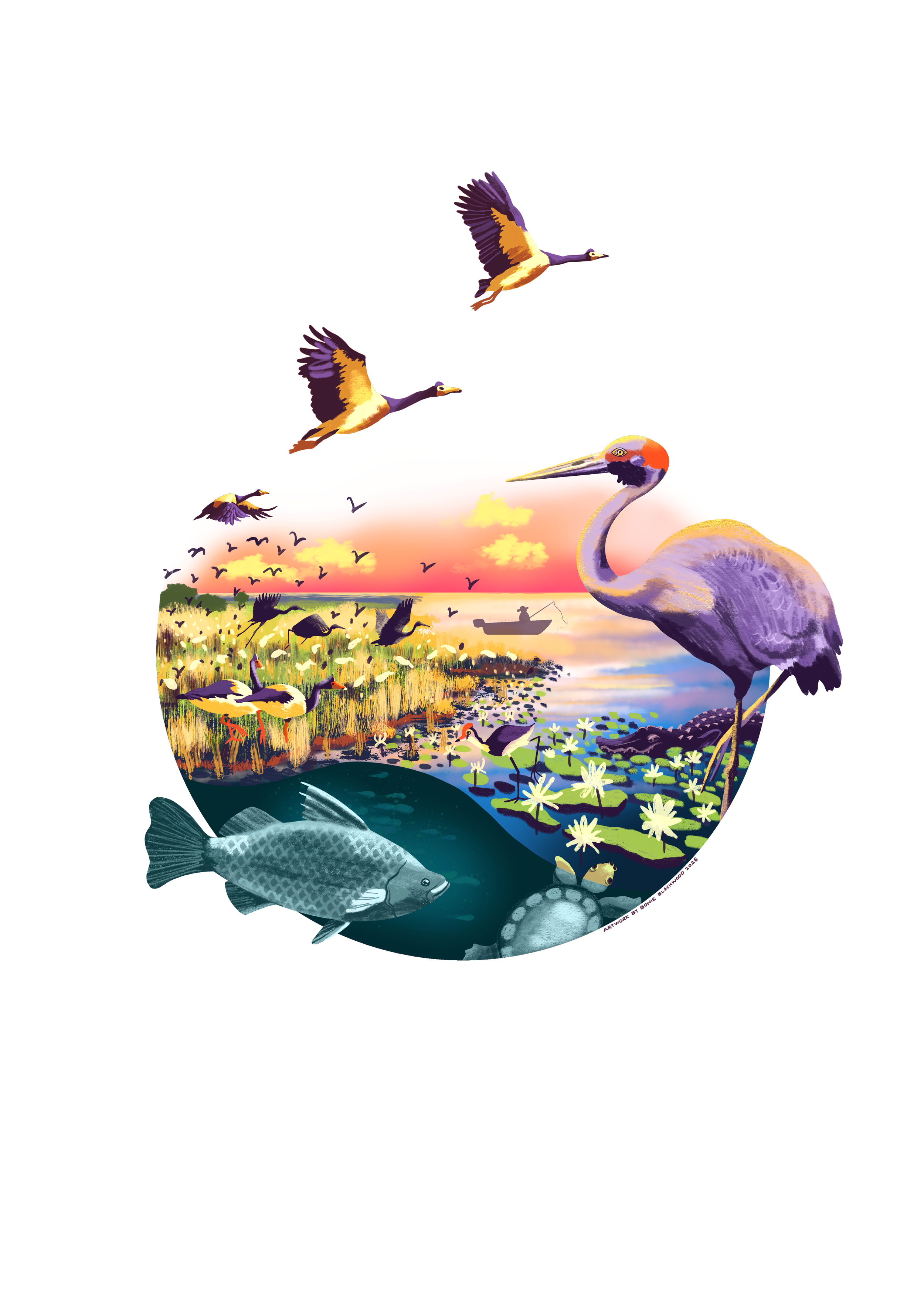 Floodplains.png