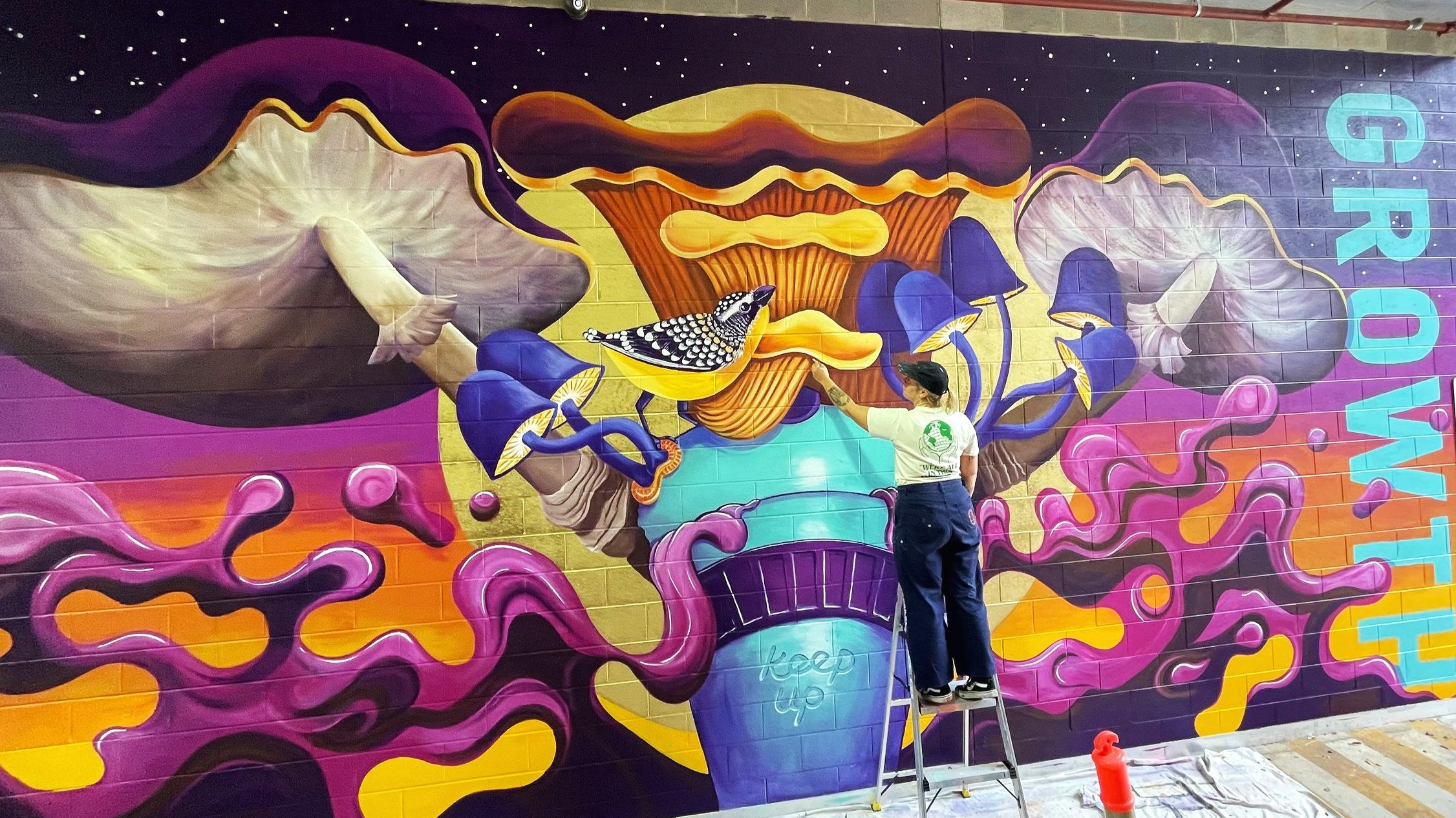 Public mural inspiring sustainability and reduction of food waste. Painted in popular cafe/restaurant area of Canberra in partnership with ACT Government's NoWaste campaign for Surface Mural Painting Festival.