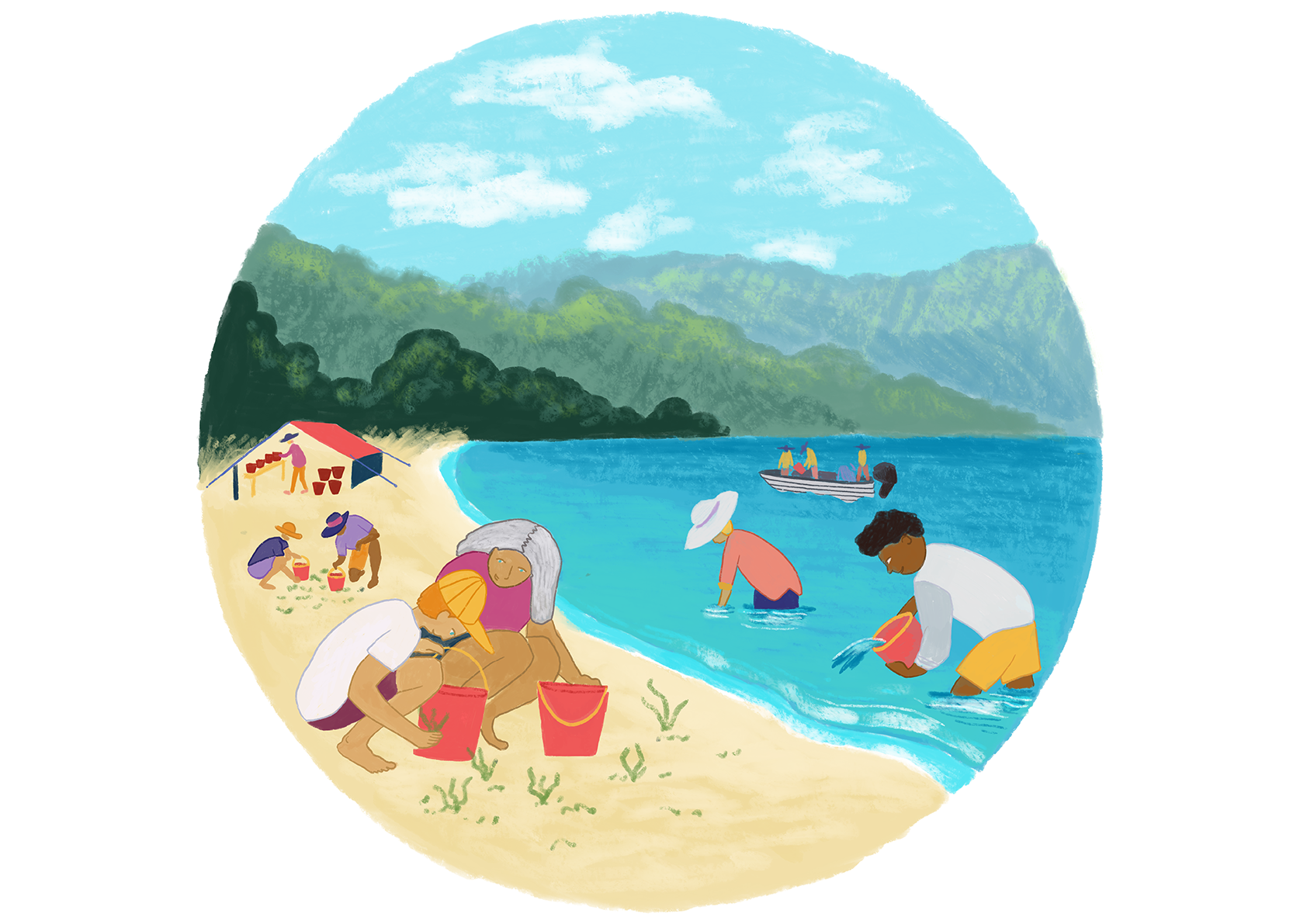 Climate_Disaster_Seaweed_LR.png