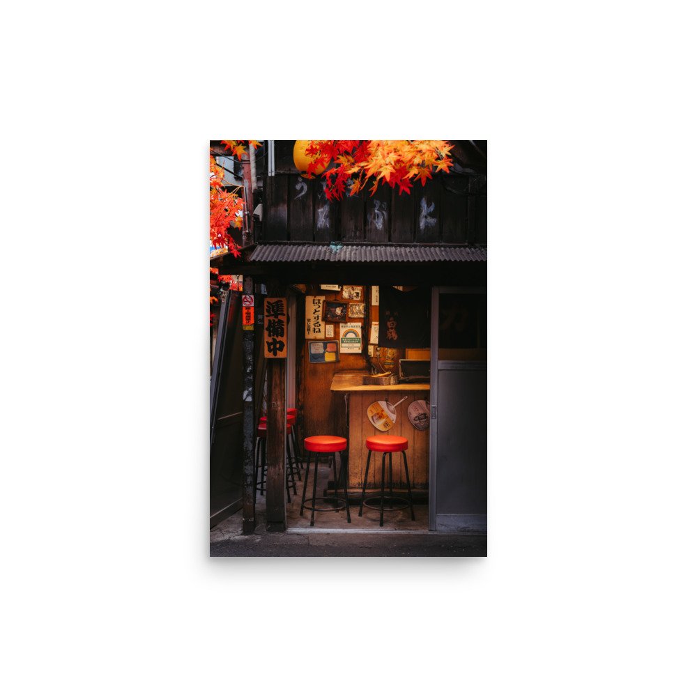 premium-luster-photo-paper-poster-(in)-12x18-front-67447158c0025.jpg