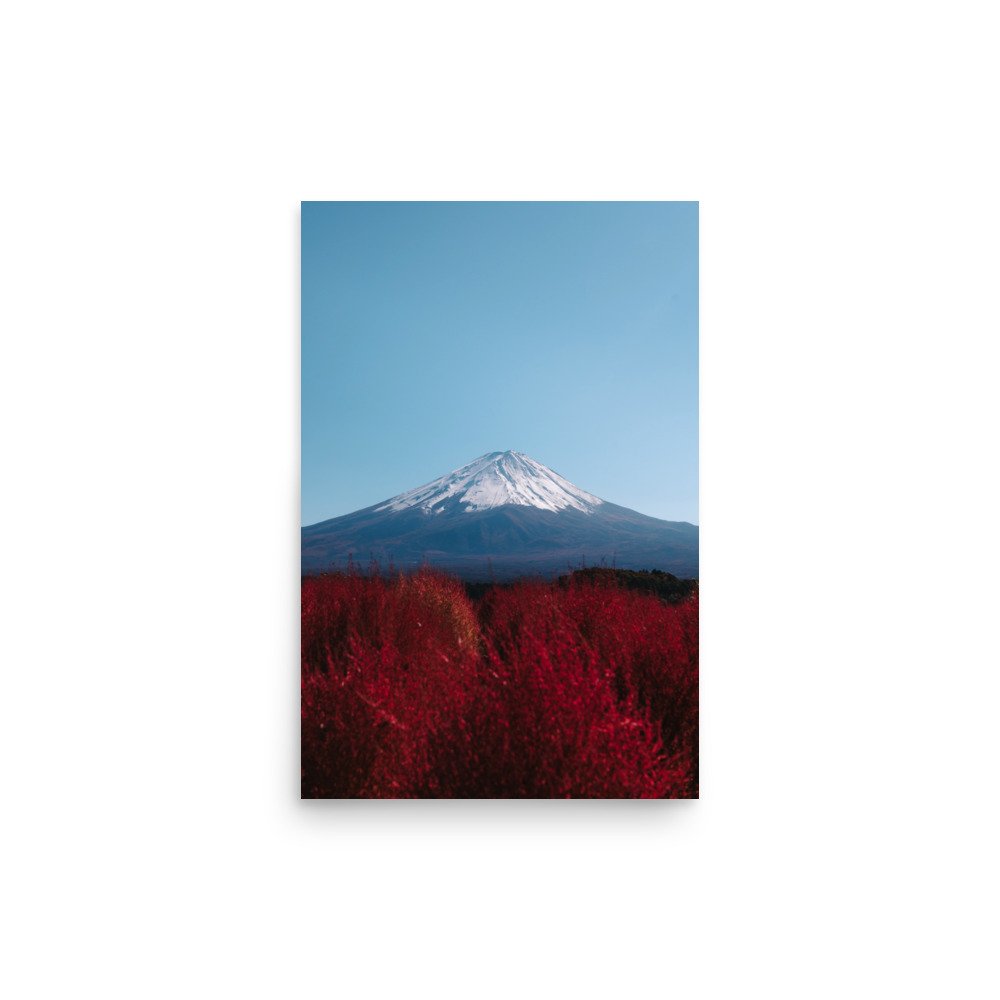 premium-luster-photo-paper-poster-(in)-12x18-front-674472a30b4aa.jpg