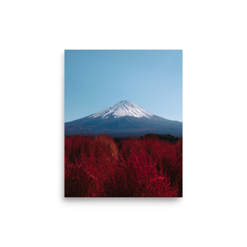 premium-luster-photo-paper-poster-(in)-8x10-front-674472a30b5ab.jpg