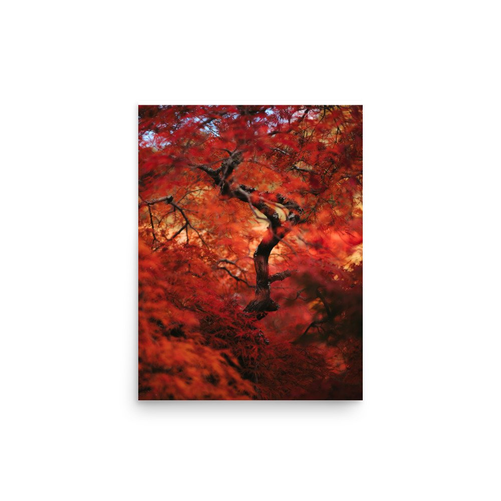 premium-luster-photo-paper-poster-(in)-12x16-front-67542e8f15c51.jpg