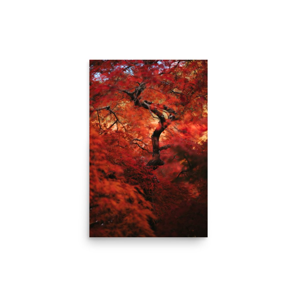premium-luster-photo-paper-poster-(in)-12x18-front-67542e8f15d31.jpg