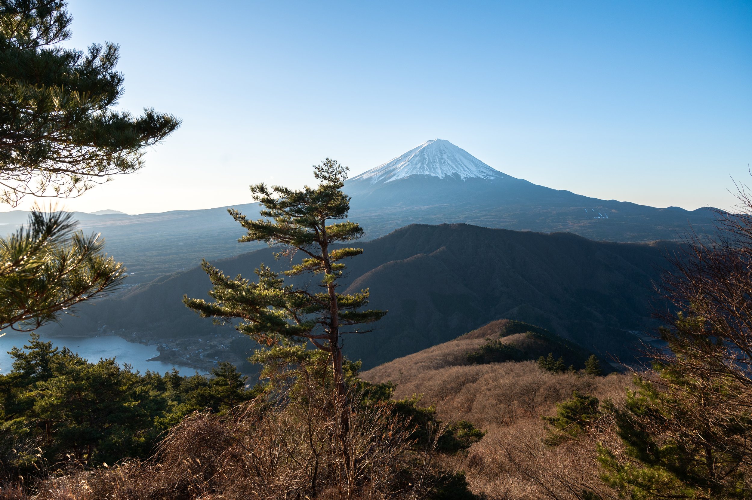 Snow-covered Mount Fuji seen through trees on a clear day.