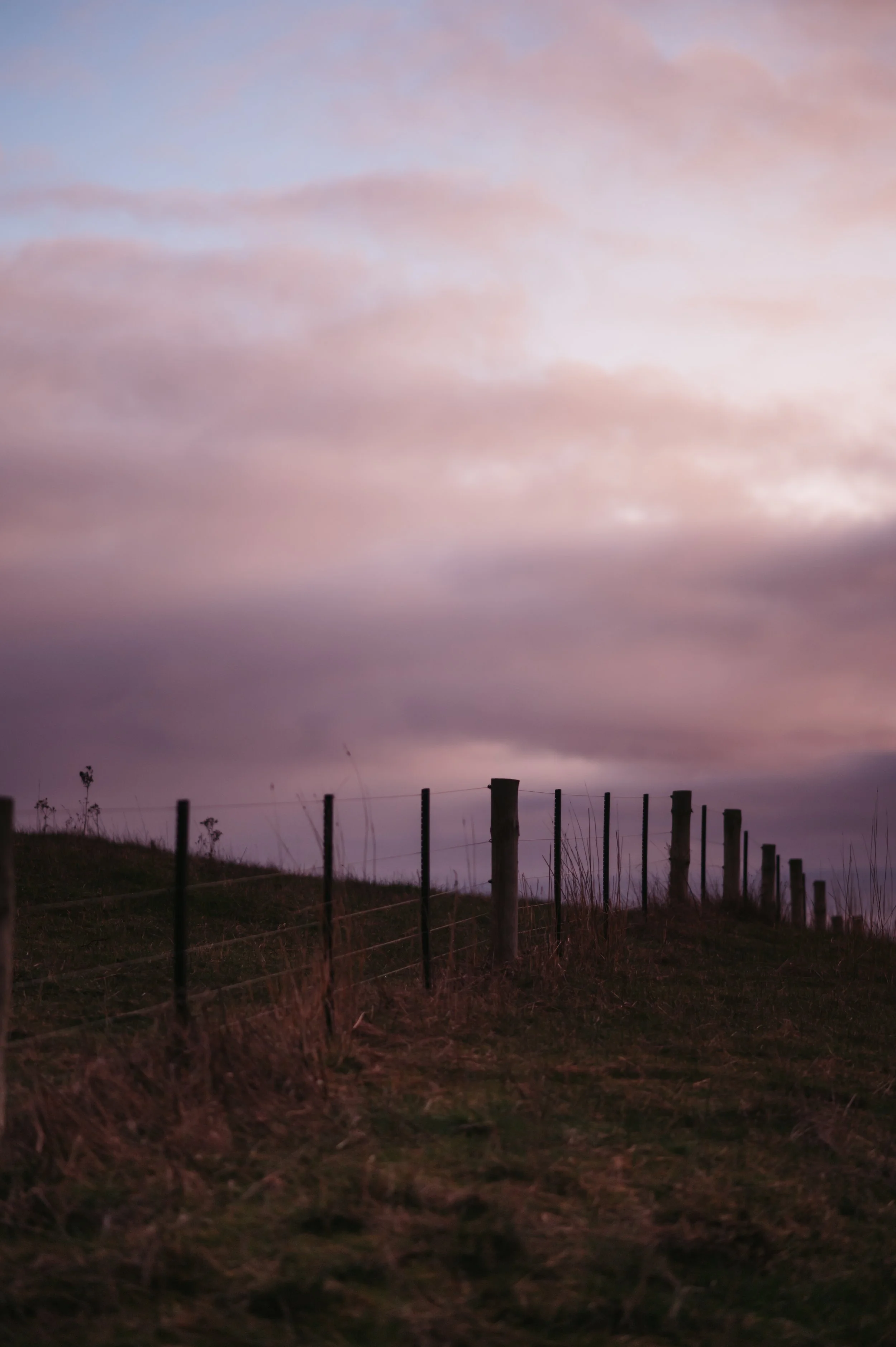 DSC_5848-1.jpg