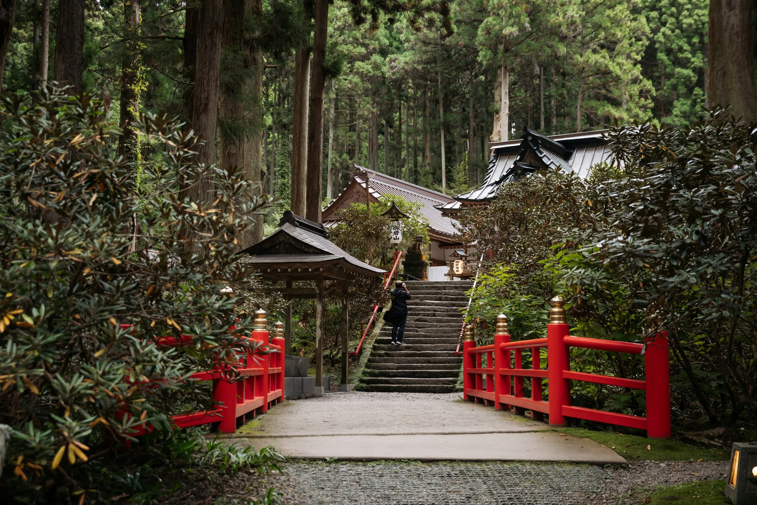 A person taking a photo of a traditional Japanese temple entrance surrounded by tall trees and green foliage. The pathway is lined with red railings and stone steps leading up to the temple.