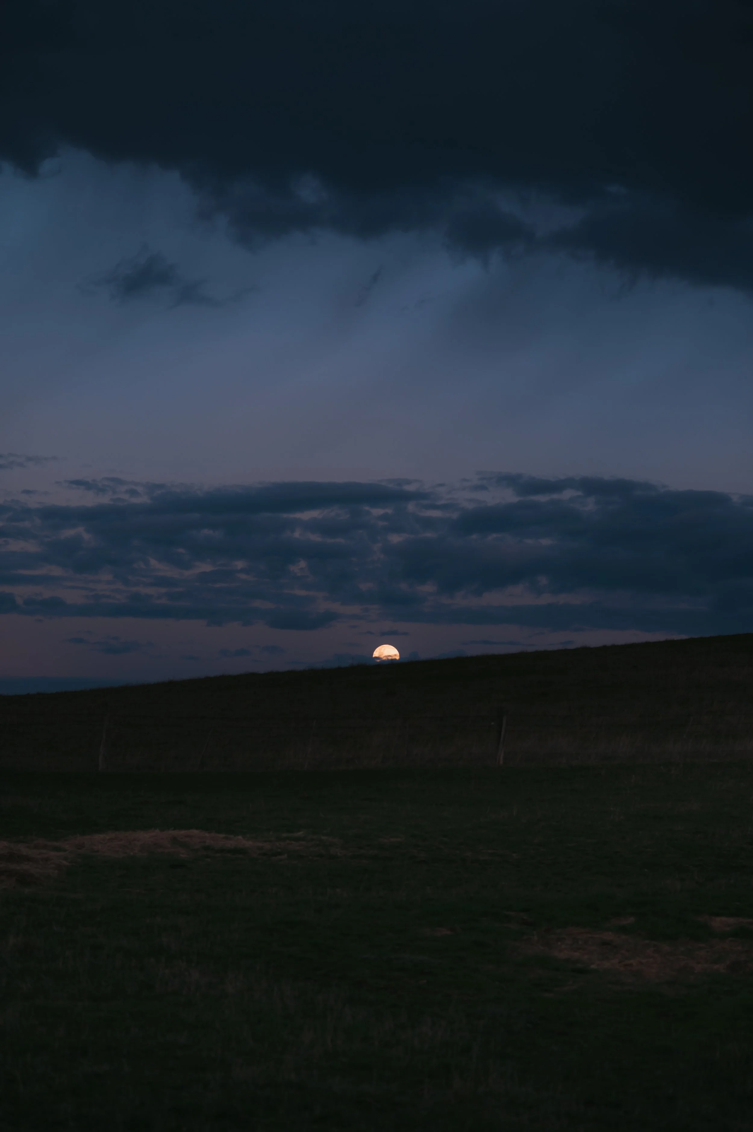 DSC_4353-1.jpg