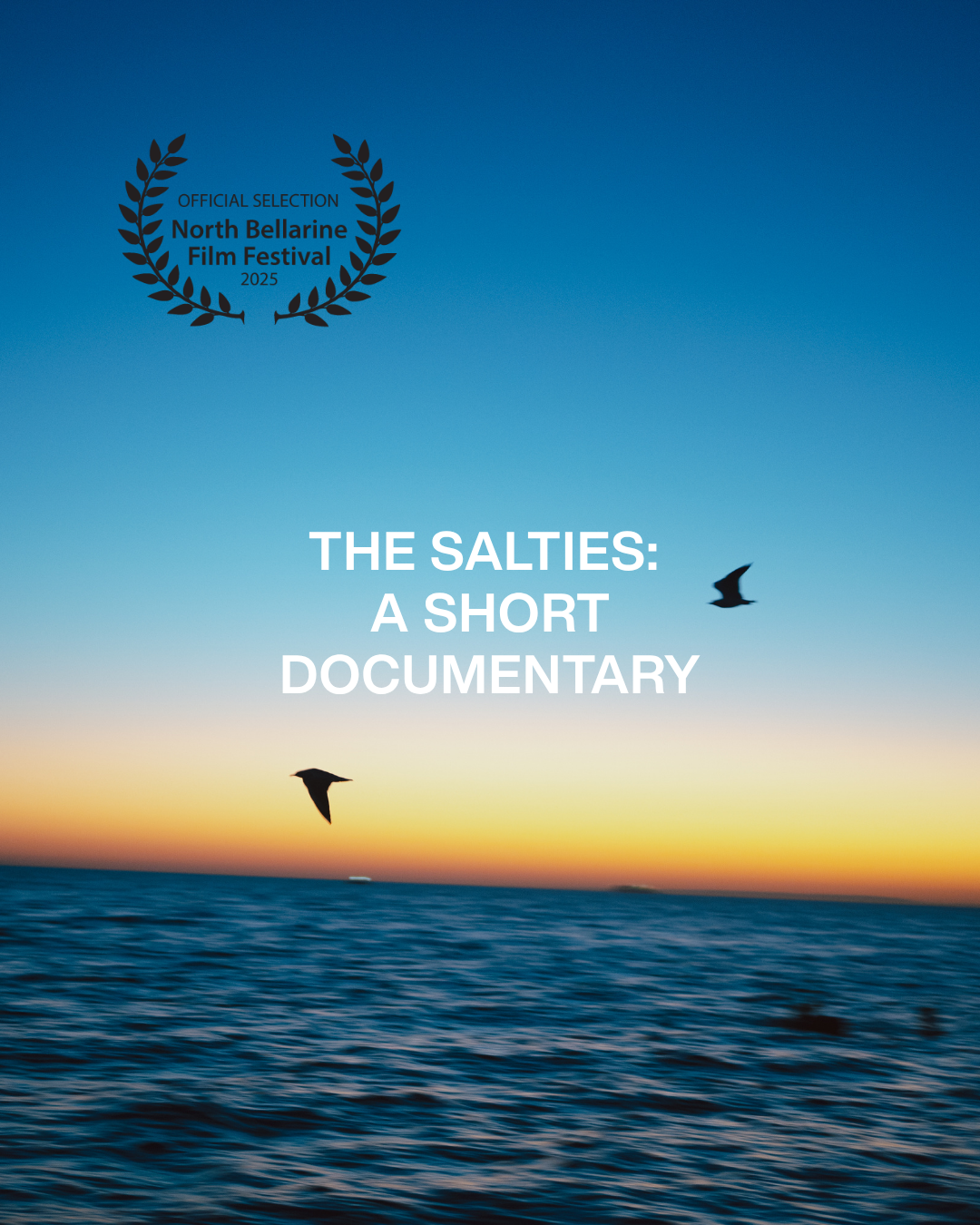 Sunset over the ocean with flying seabirds and film festival award emblem at the top left corner, titled "The Salties: A Short Documentary".
