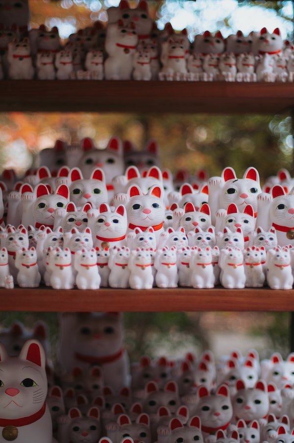 Multiple sets of small Maneki-neko cat figurines with white bodies and red accents displayed on wooden shelves.