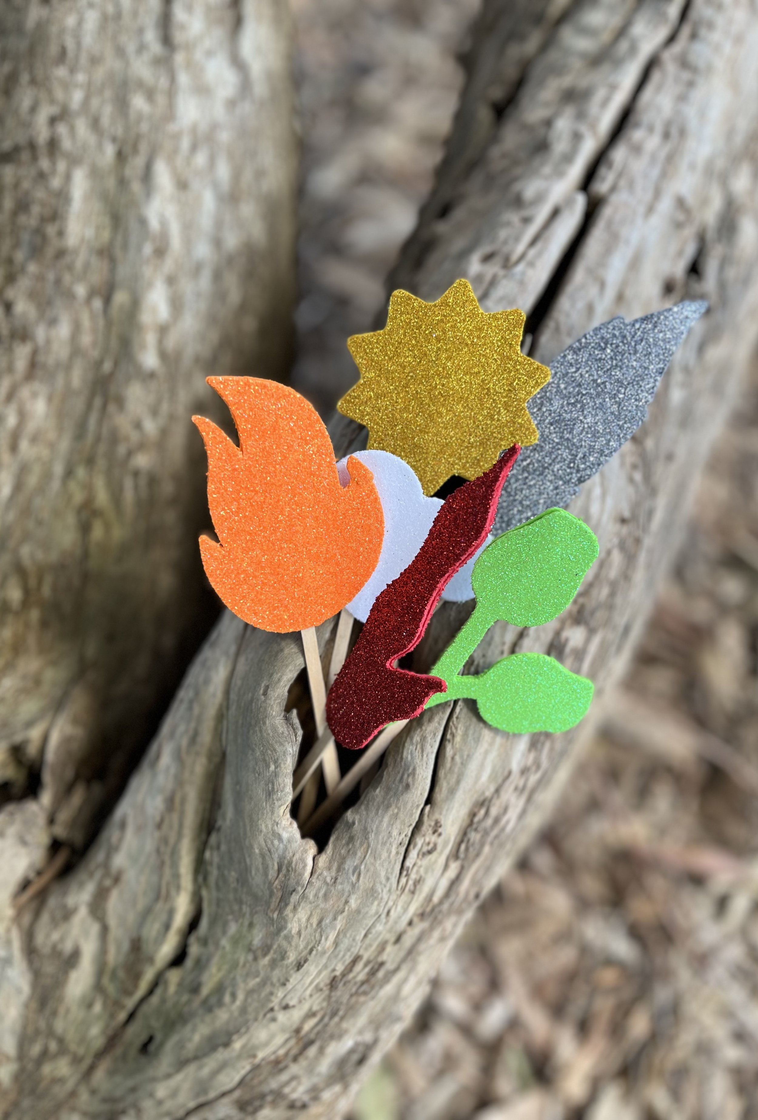 Banjo’s Bush Magic Wand/Treasure Set