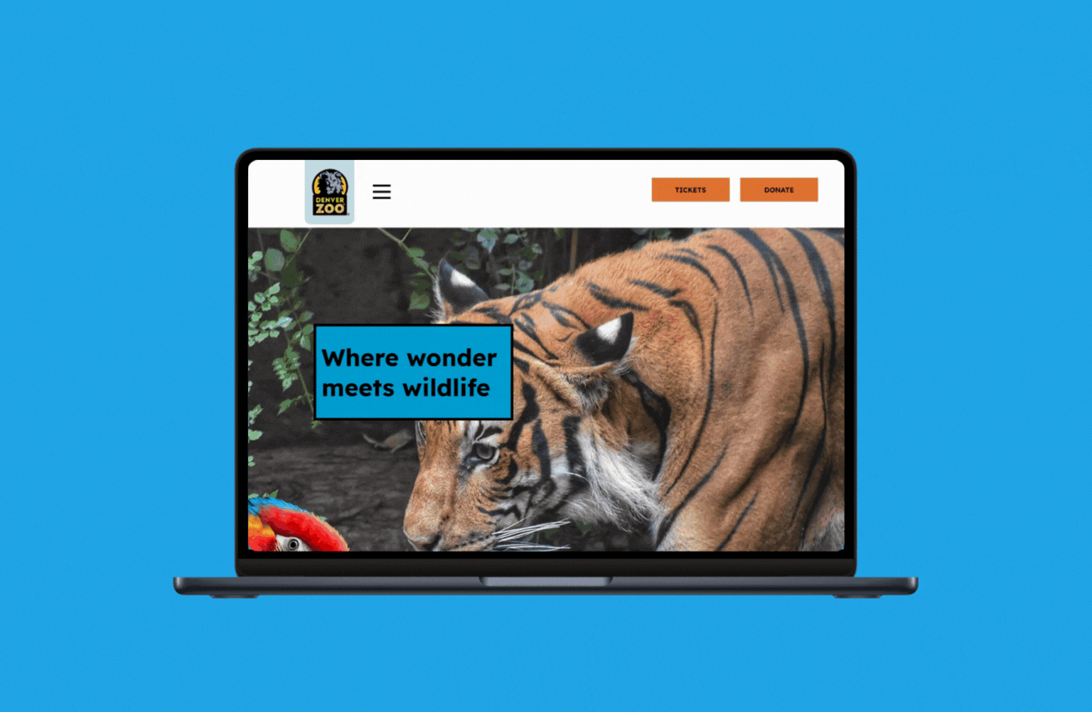 Denver Zoo: Booking with Ease