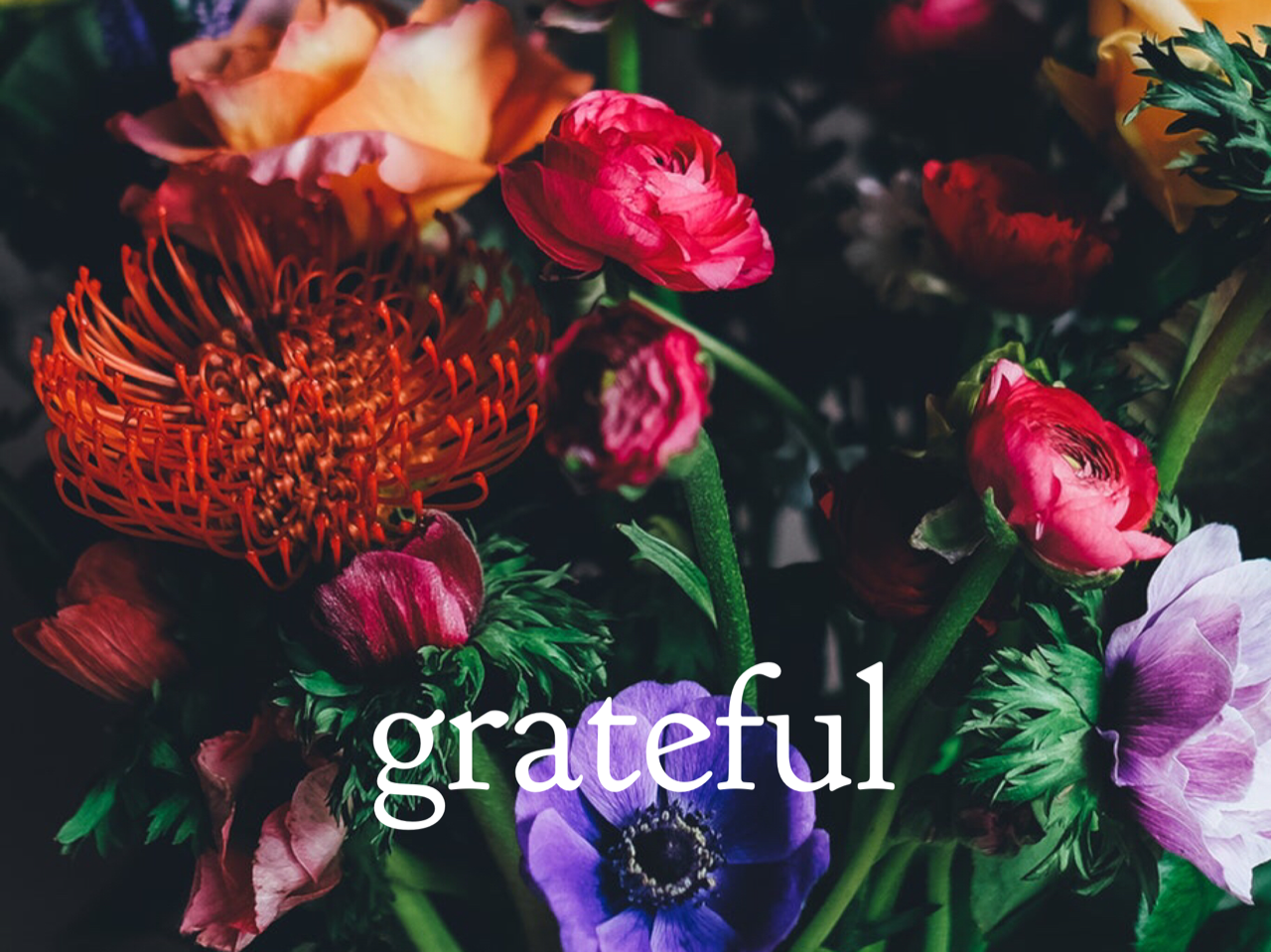 FLOW SHOW SEPT FLOWERS GRATITUDE.PNG