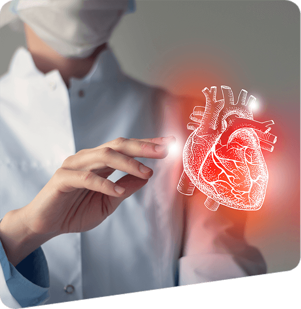 Auckland X-ray & Imaging Services Trans-Thoracic Echocardiogram. Skip the wait for quick Echocardiogram appointments in Auckland at affordable prices.
