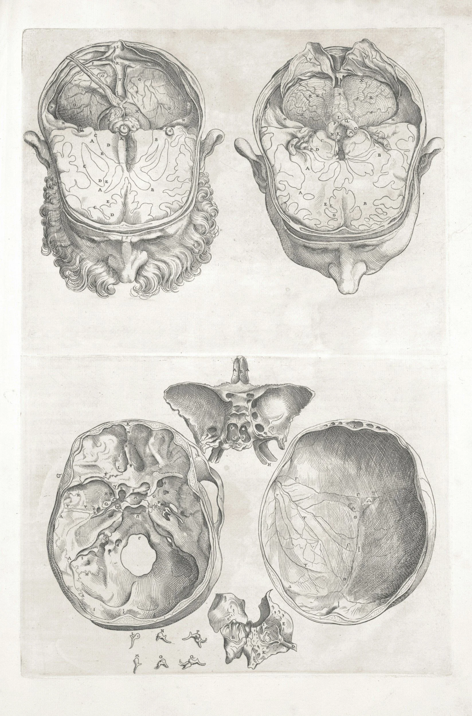 Cranial Osteopathy Explained