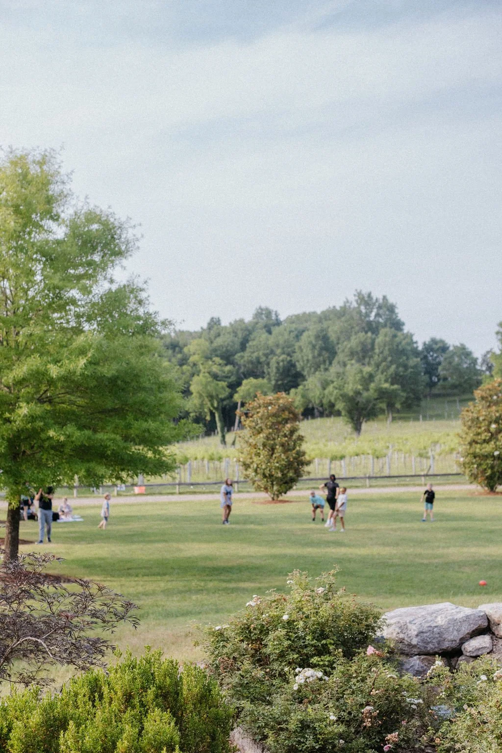 2025 Labor Day Wine Tasting & Last Call