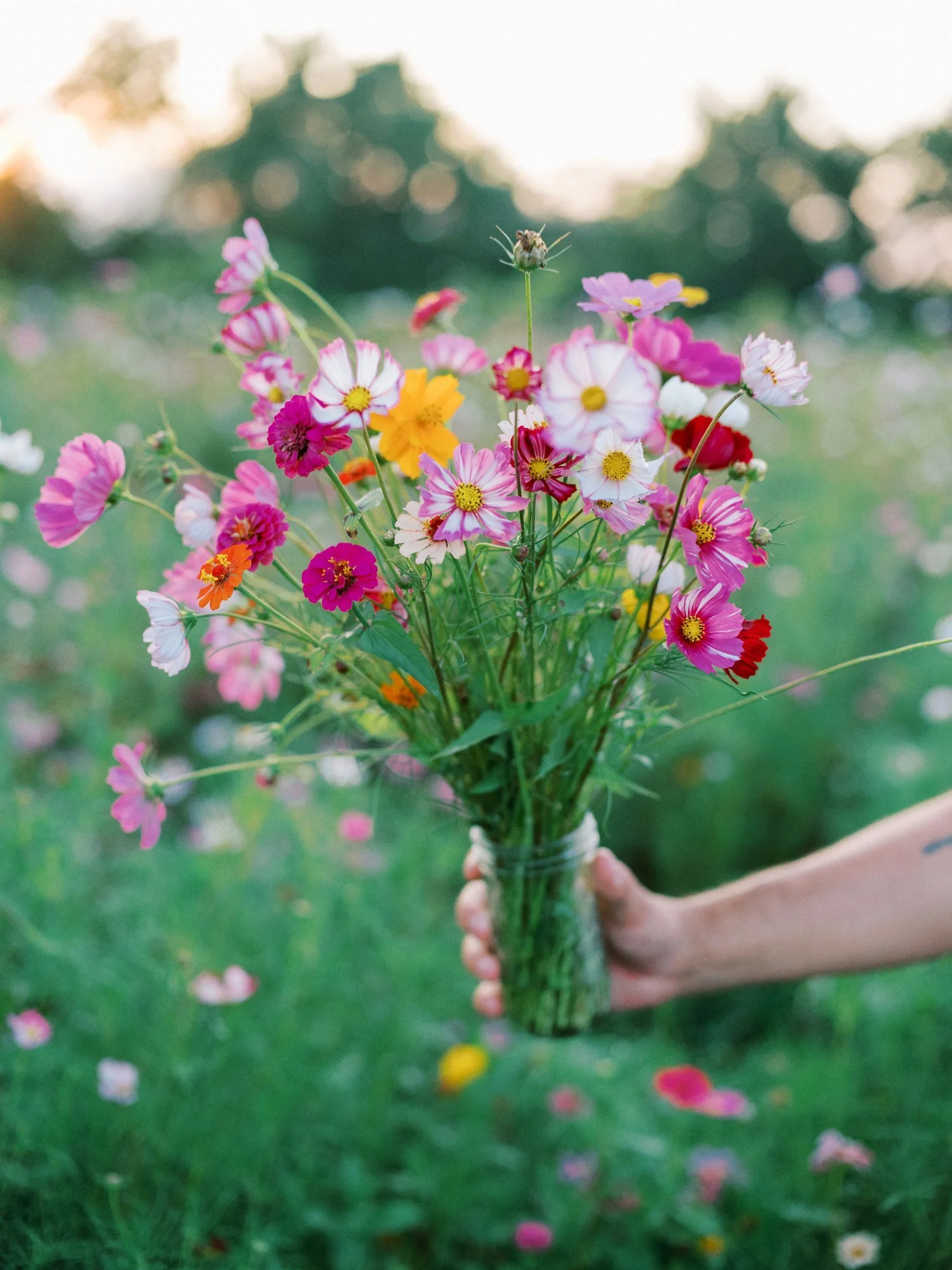 Add to General Entry: Flower Picking Finale tap to learn more