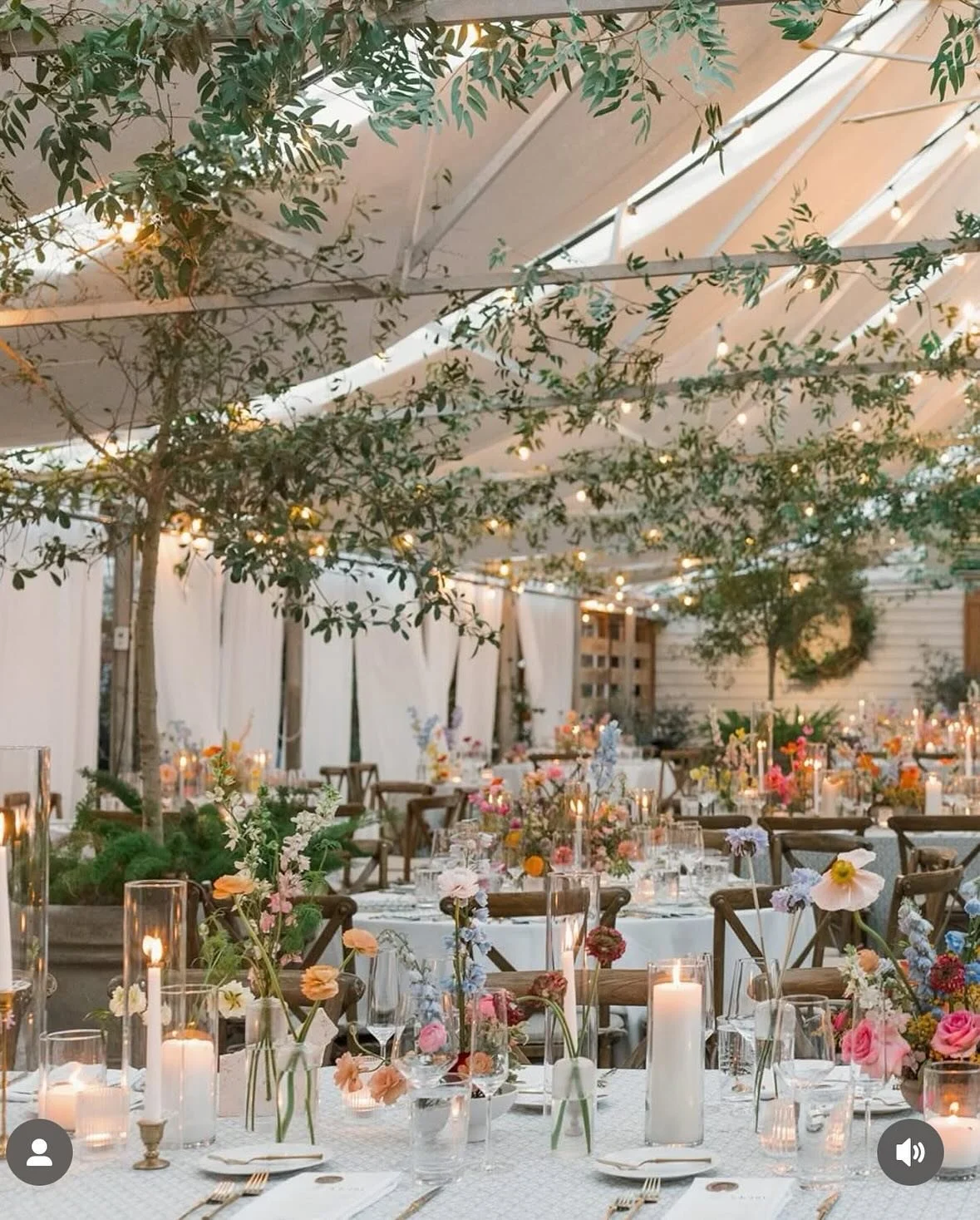 Pretty colors for a beautiful early Spring weekend 📸 @leahmarguliesphotography