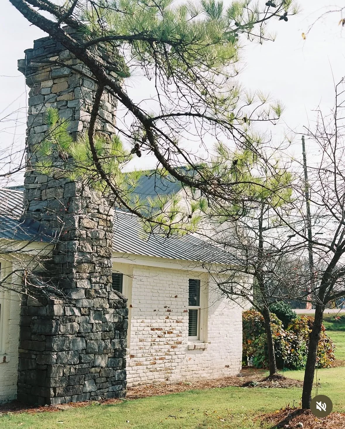 Sunshiny days here in our valley #Spring