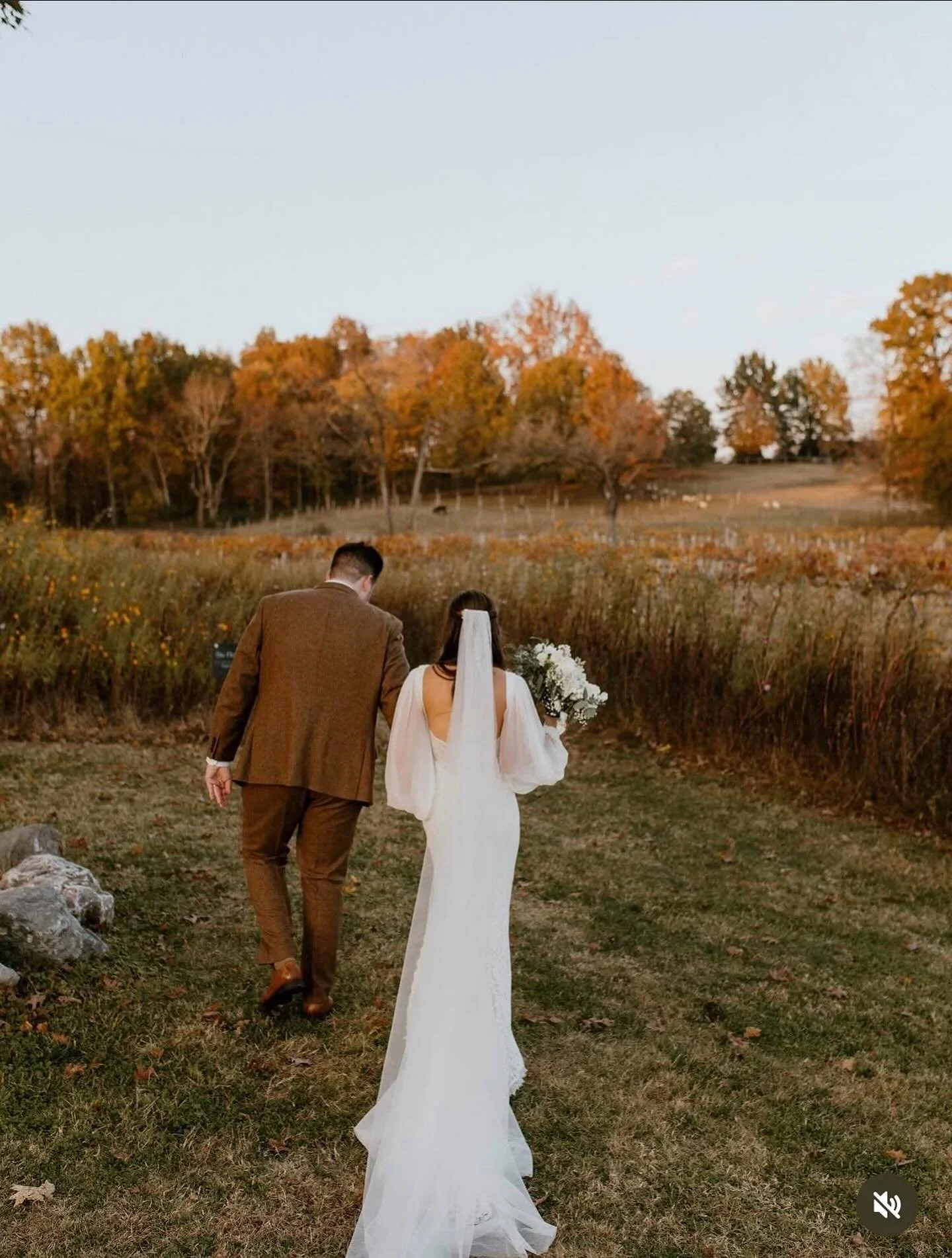 Autumn afternoons here in our valley