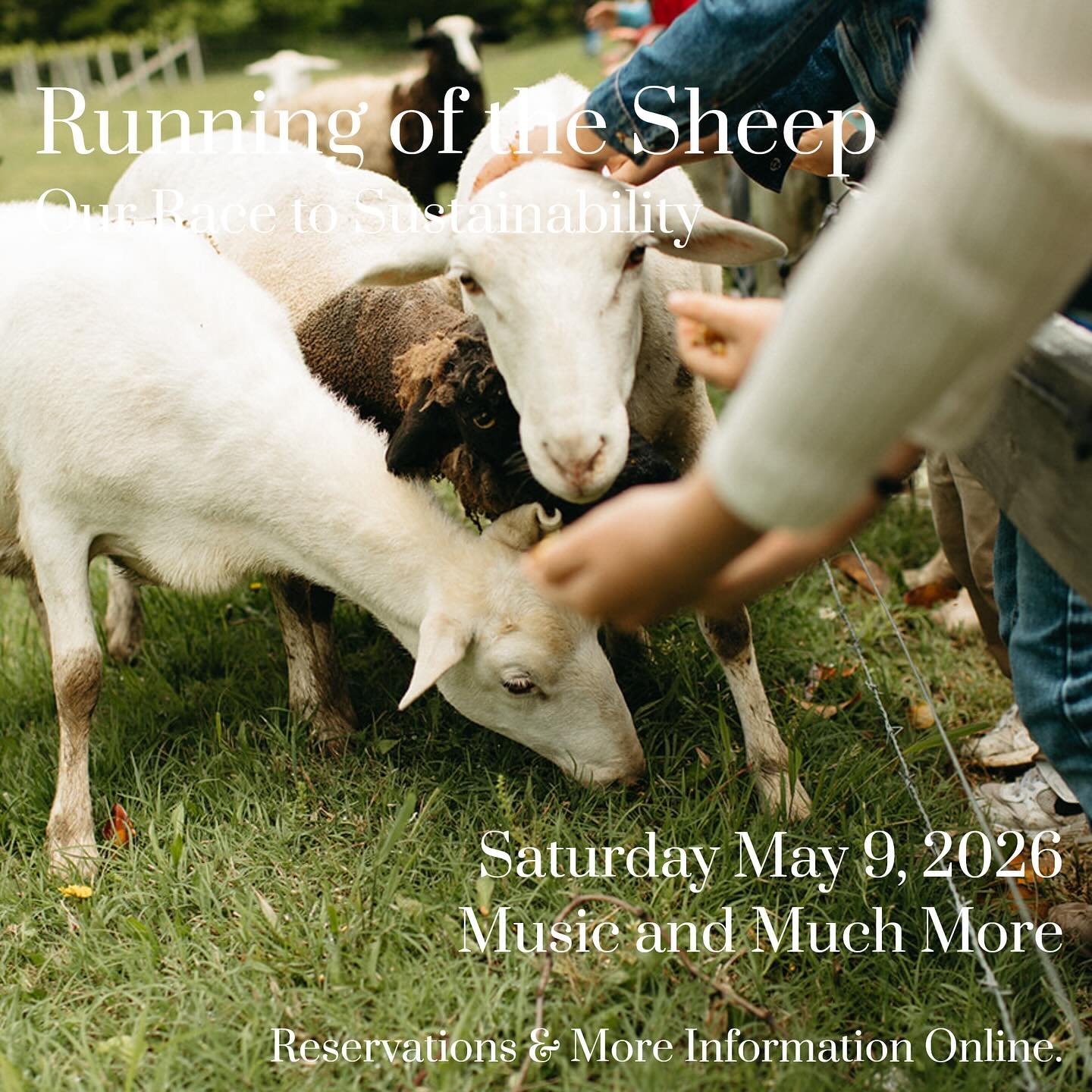 Join us as we ring the feed bells and welcome our flock into our valley for spring grazing with wonderful music for all.  See them. Meet them. Have fun.  Space is limited for our most unique tradition of all! 🐑 🐑 🐑