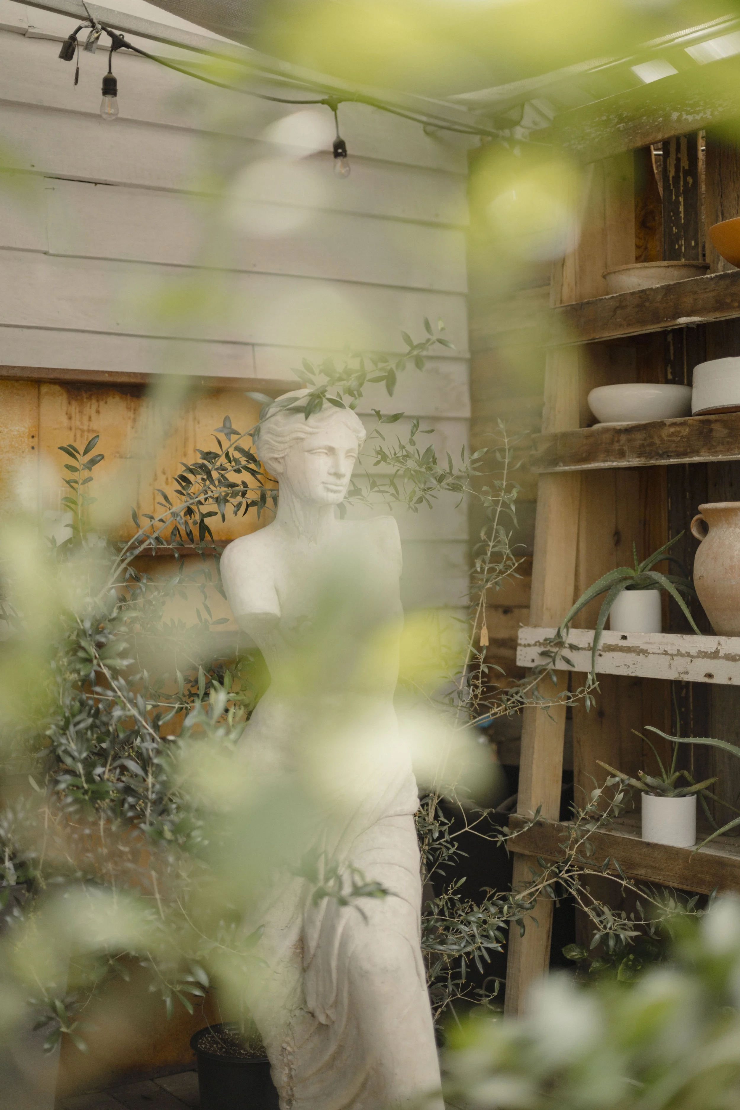 54512851994_7387fcec1f_o.jpg (Copy) (Copy)