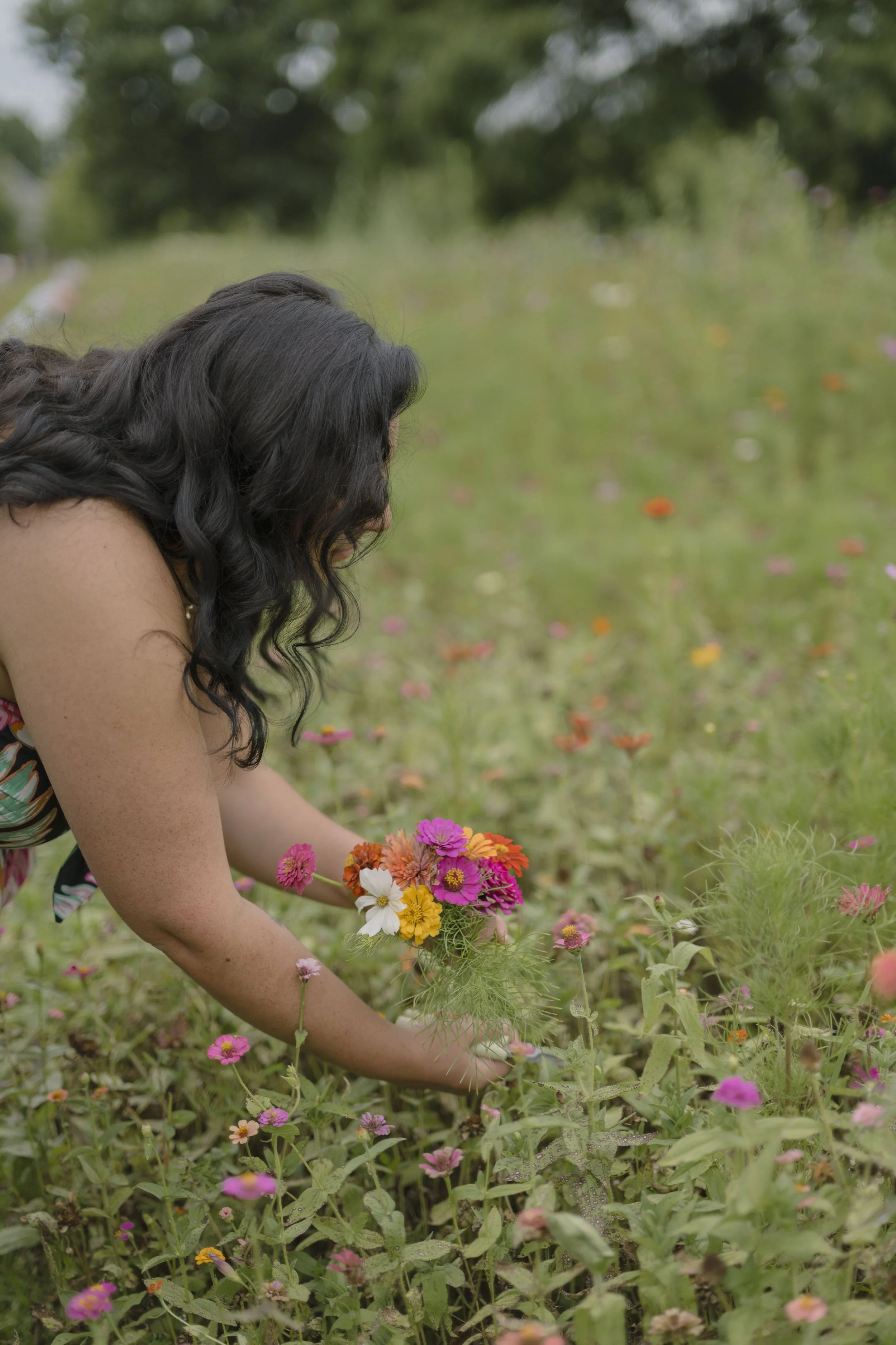 August 1: August Picking Party