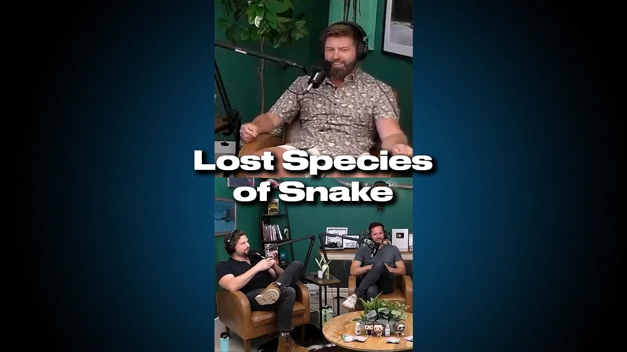 Lost Species of snake thumbnail.jpg