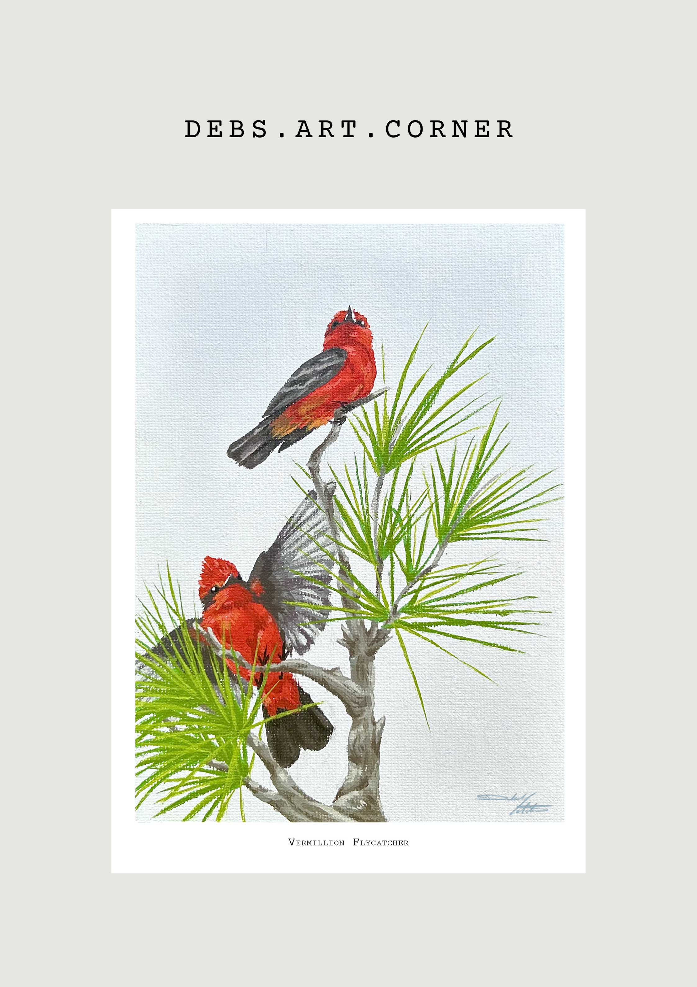 Vermillion Flycatcher