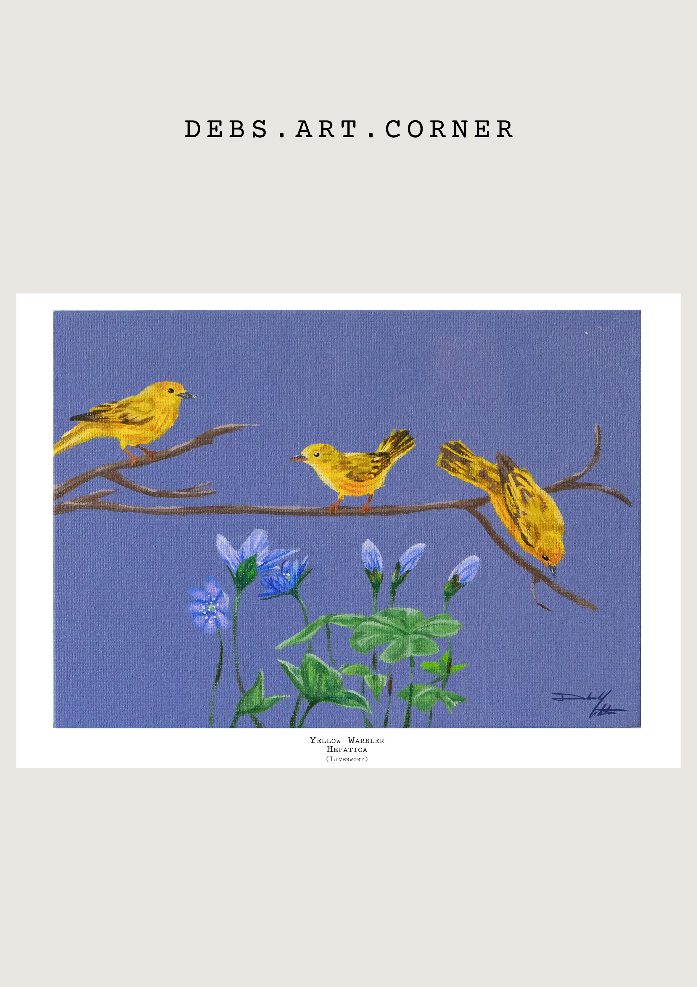 Yellow Warbler Mockup.png