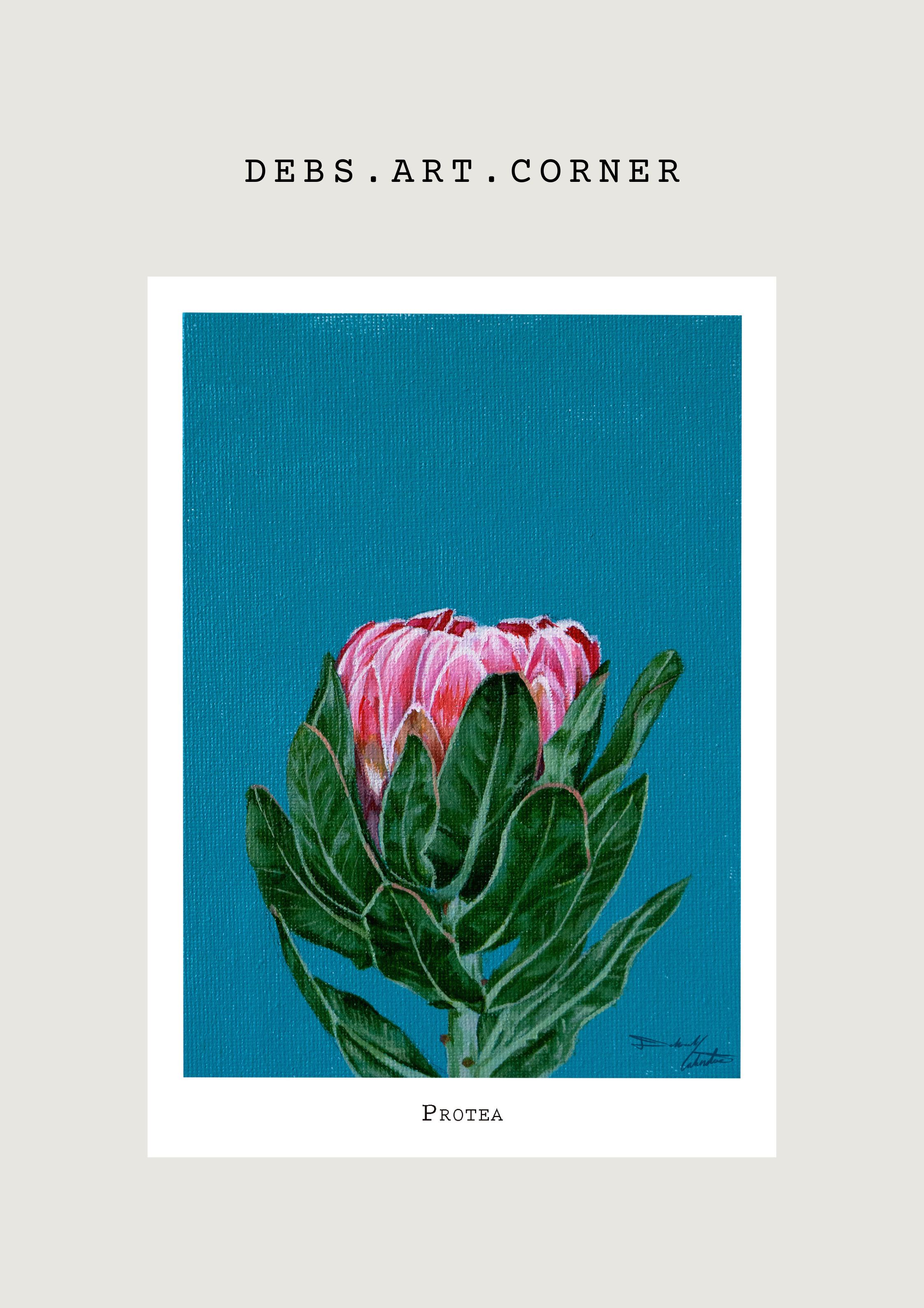 Protea Pink