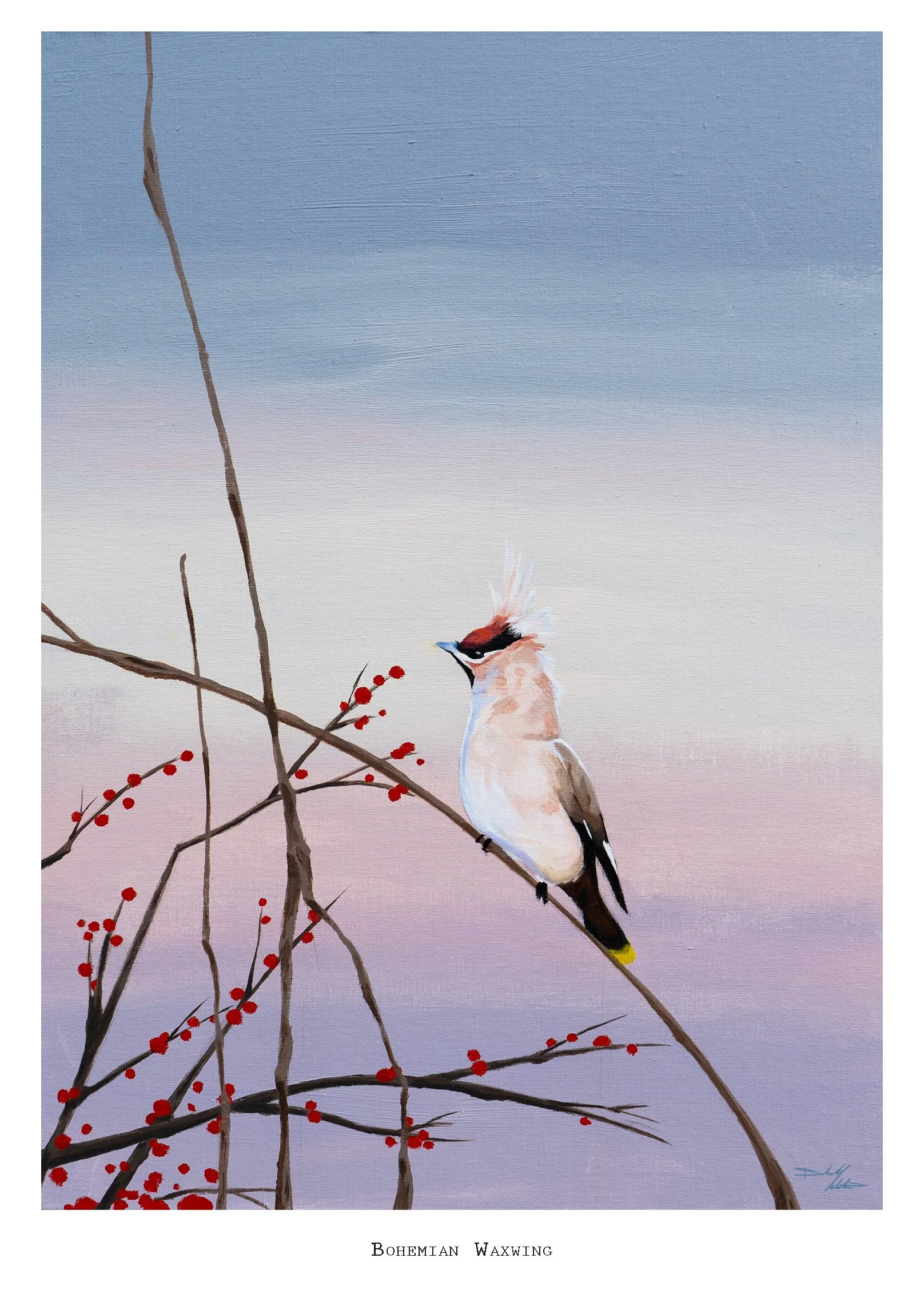 Vermillion Flycatcher Print copy 2.jpg
