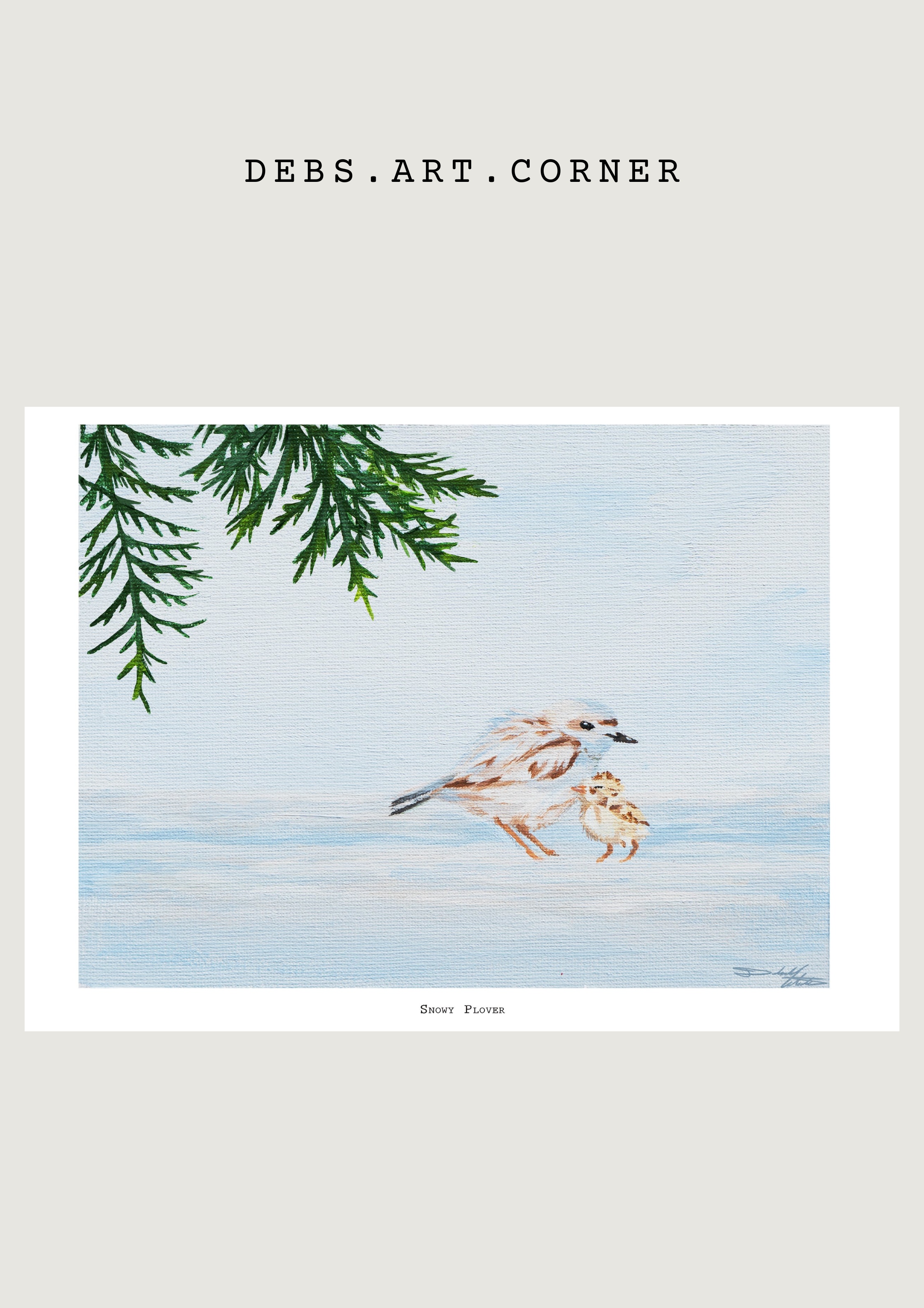 Snowy Plover Mockup.png