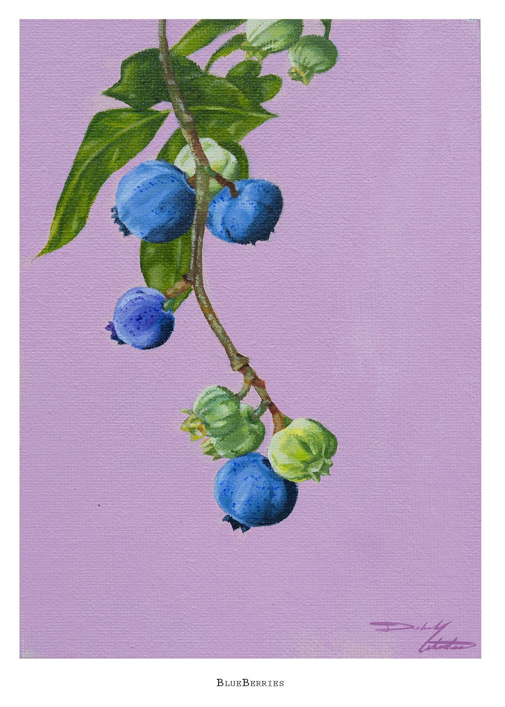 Blueberries print  copy.jpg