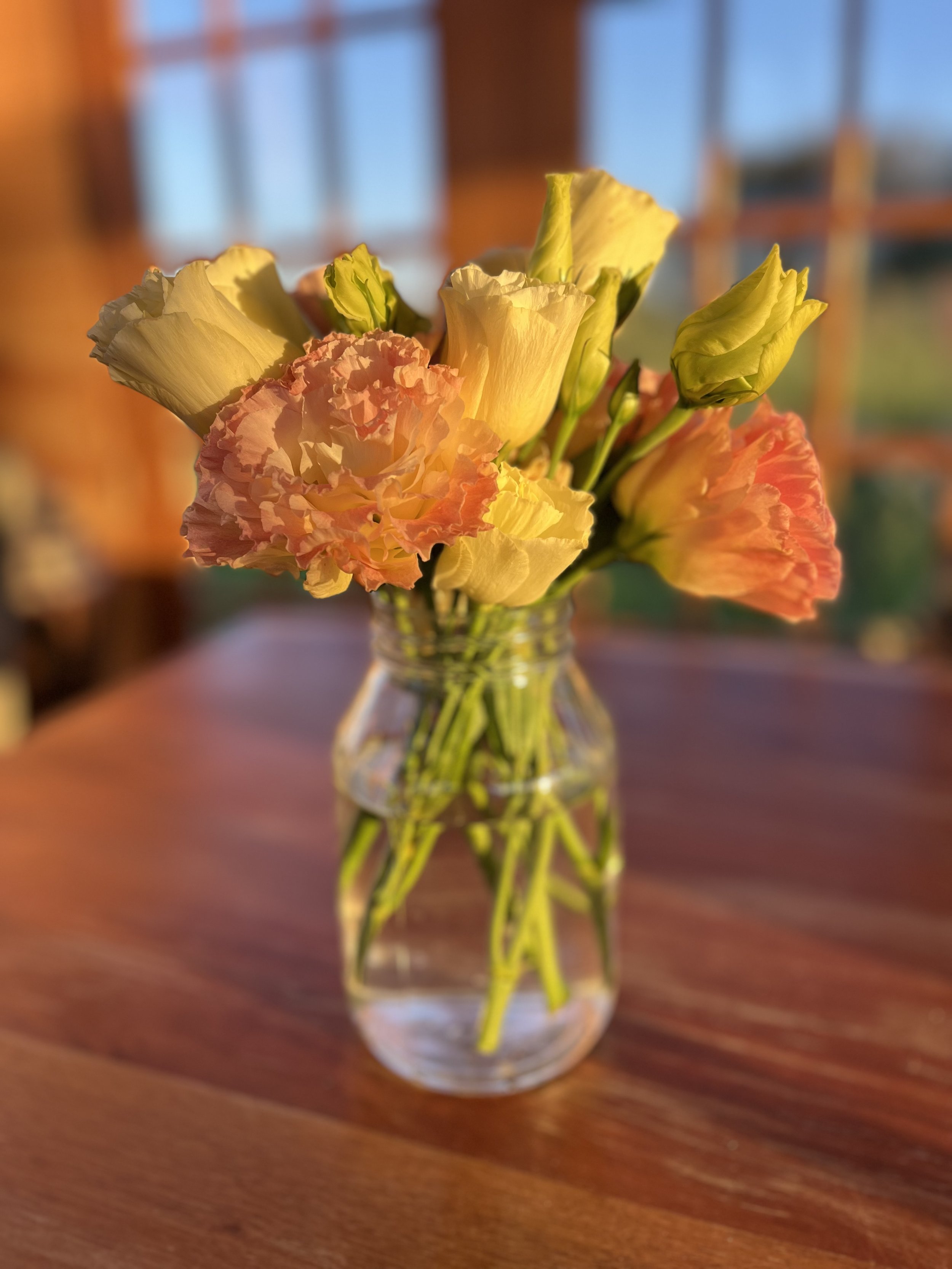 IMG_8786.jpeg