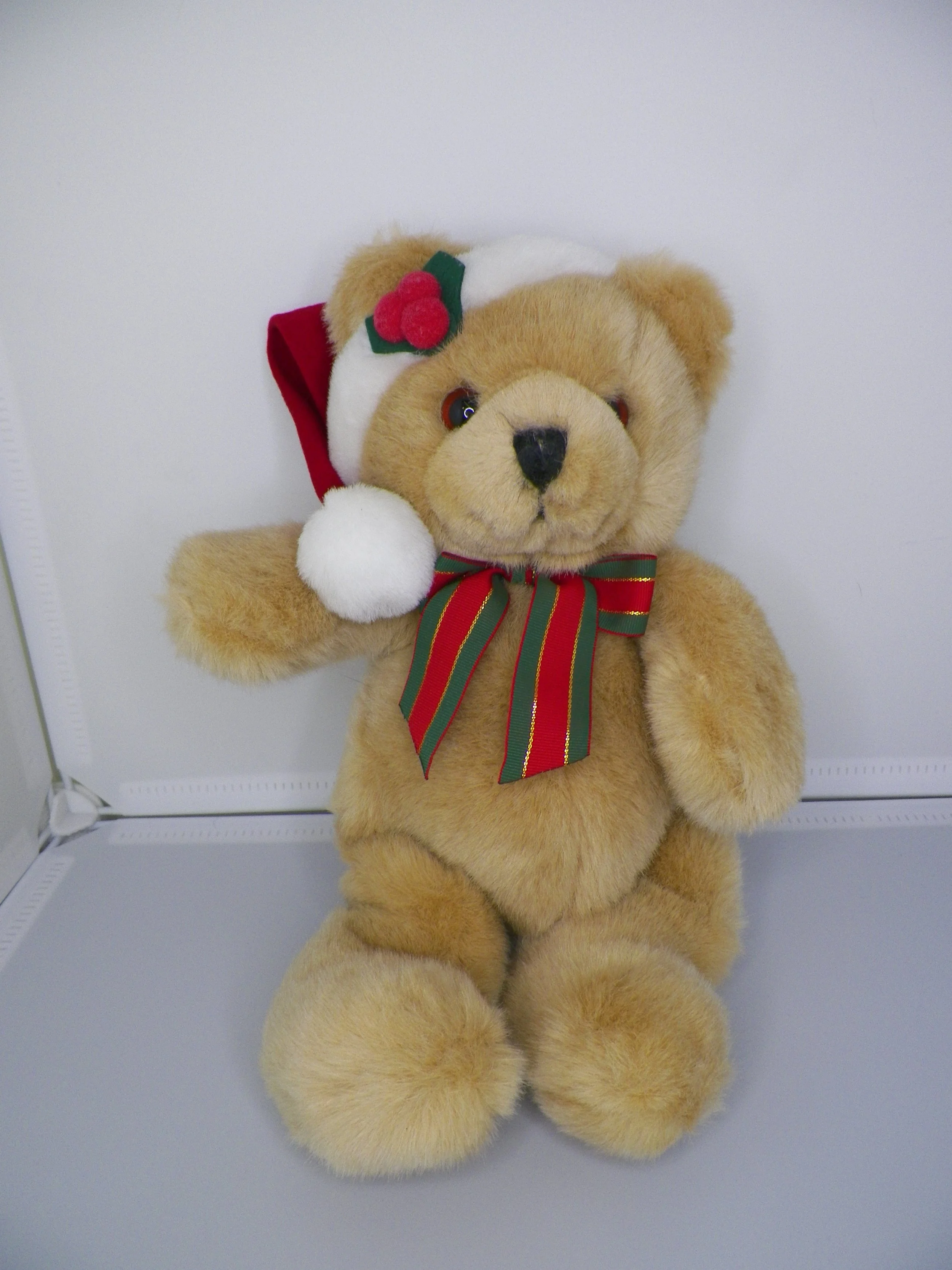 R0706 Bear with Santa Hat.JPG