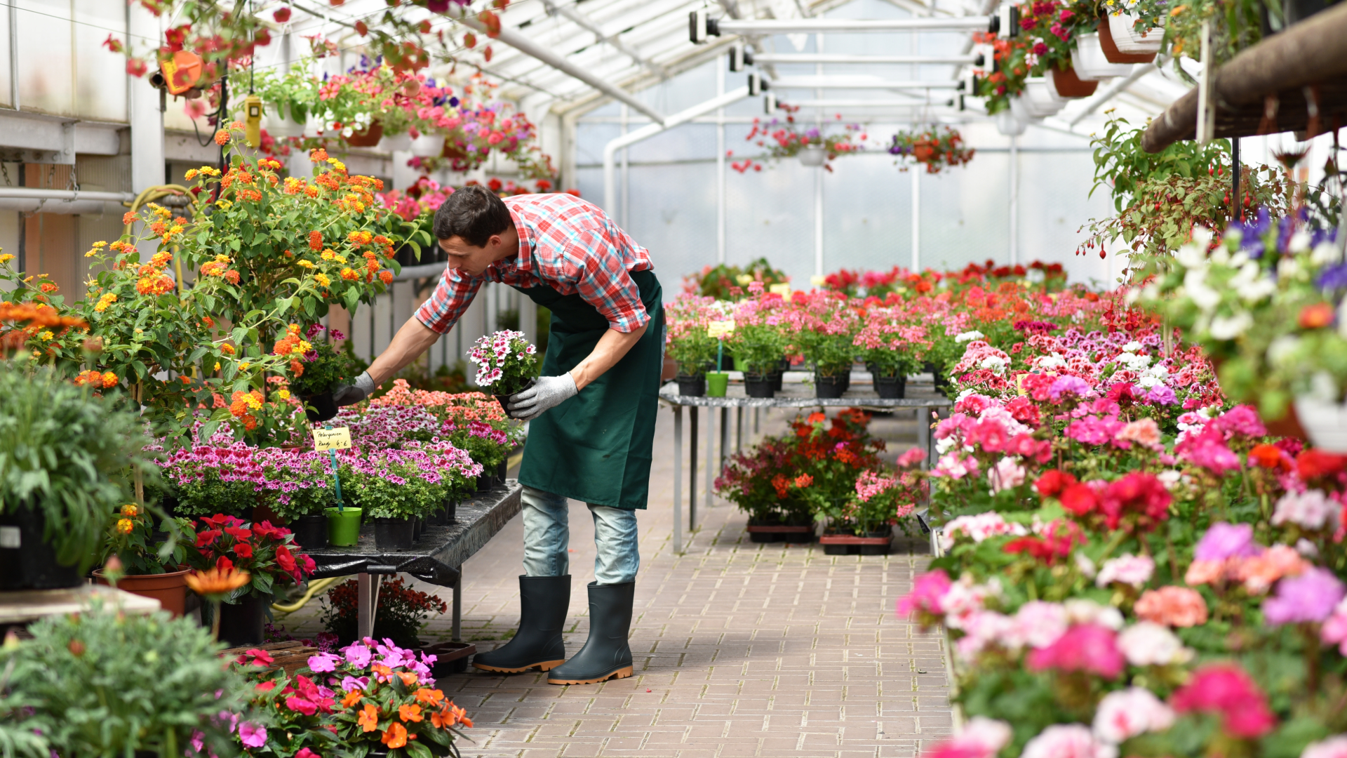 How to Plan Seasonal Inventory Without Overbuying or Selling Out Too Early