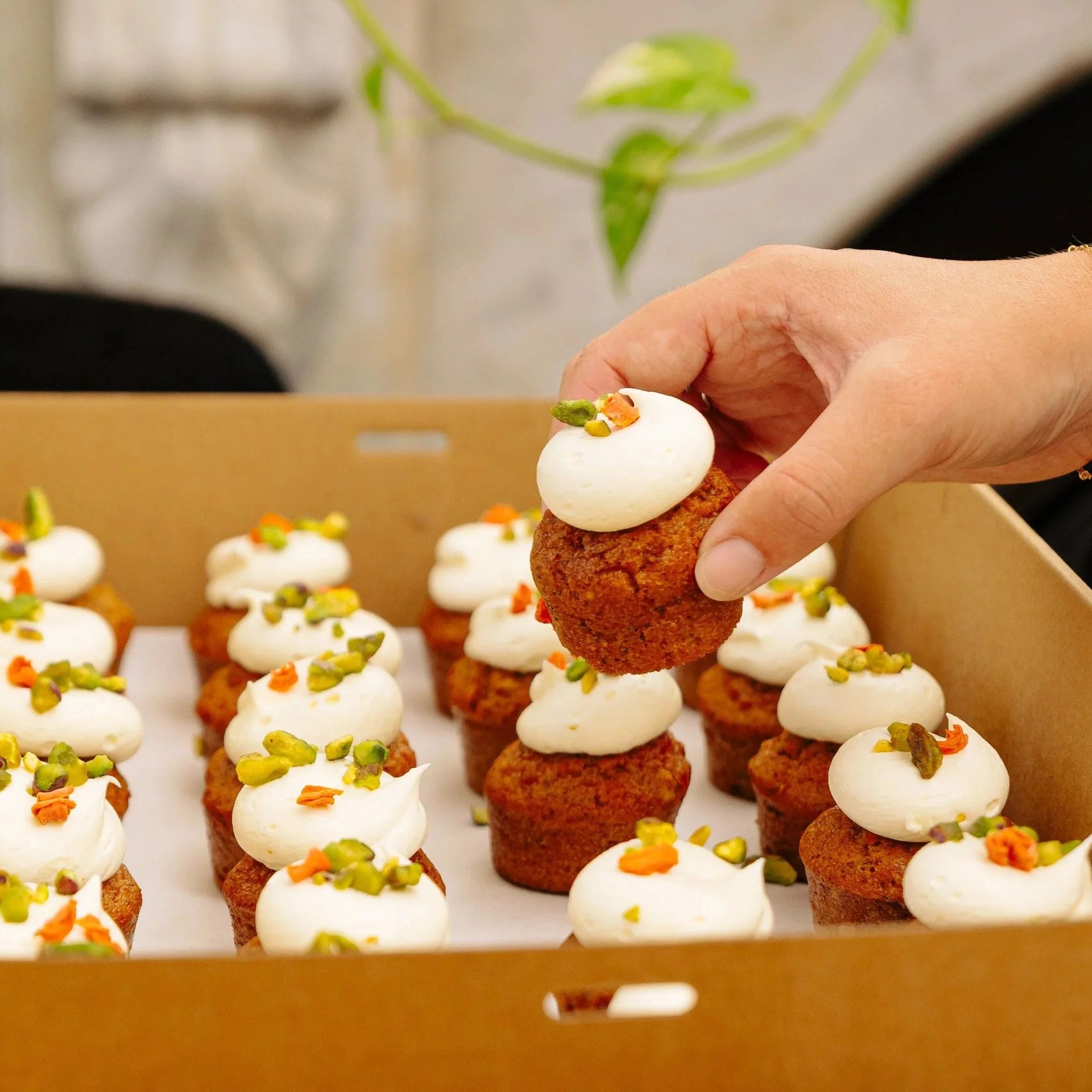 Bruno&Co_HighRes-129 (1).jpg