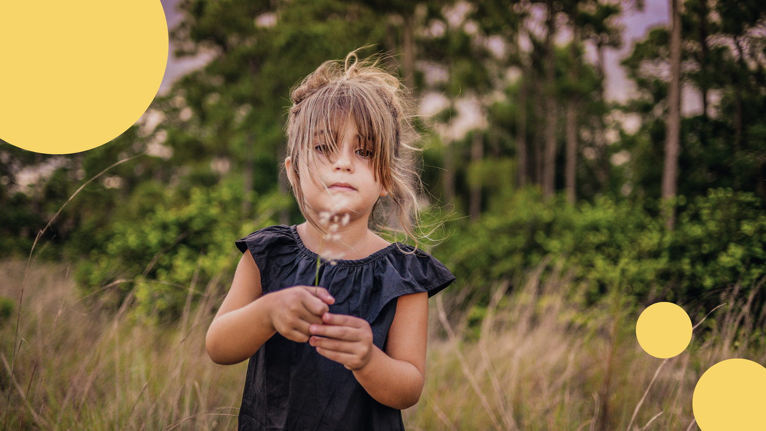 How to parent a wild child — Life Matters Psychologists