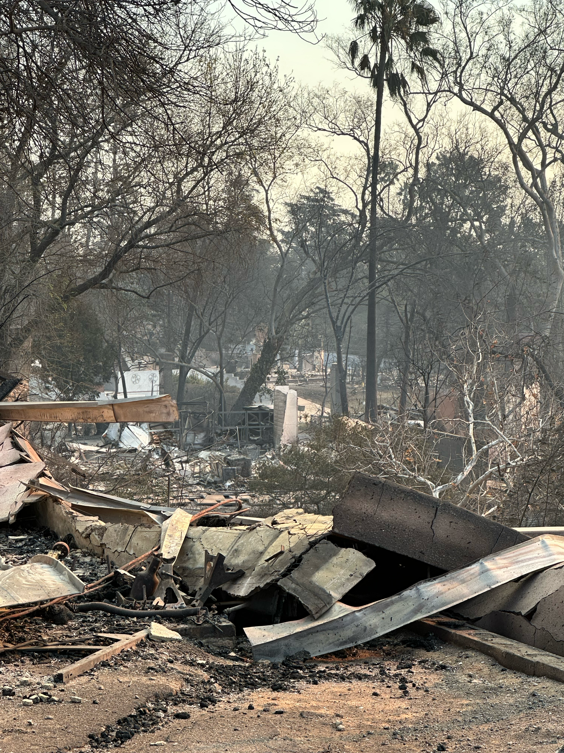 Altadena’s urban forest protected some homes from burning, but almost half of the thousands of trees were destroyed by fire. Part of Altadena’s identity comes from love of nature and trees, adding more injury to the loss. Trees cool the environment