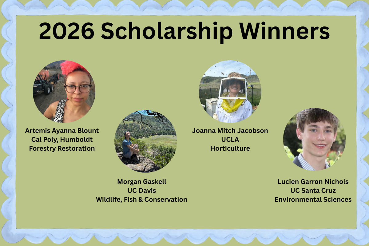 2026 Scholarship Recipients Announced